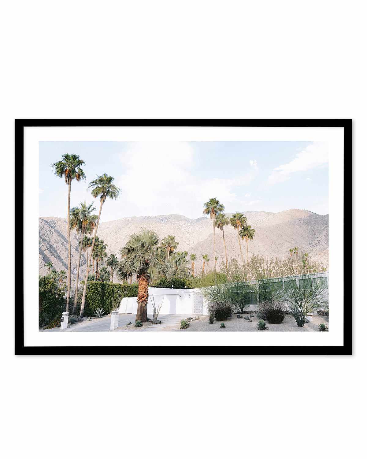 Green House Palm Springs Art Print