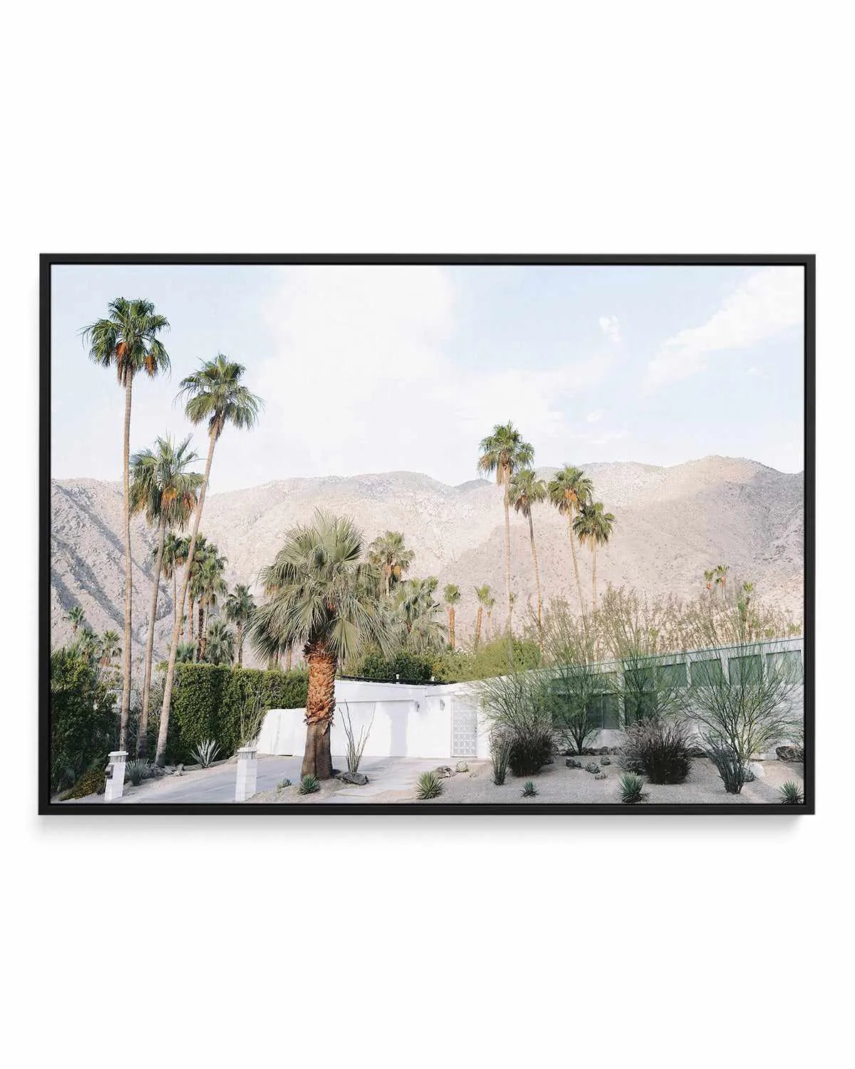Green House Palm Springs | Framed Canvas Art Print from Olive et Oriel where you can shop wallpaper and artworks online