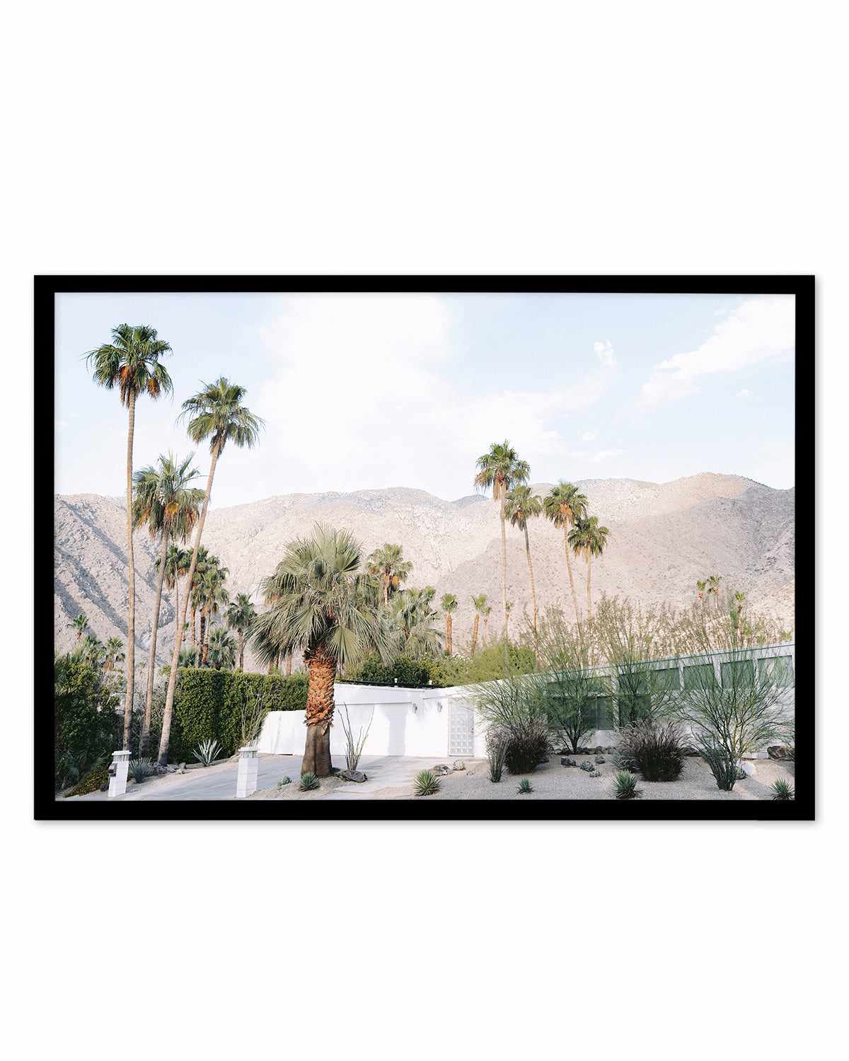 Green House Palm Springs Art Print