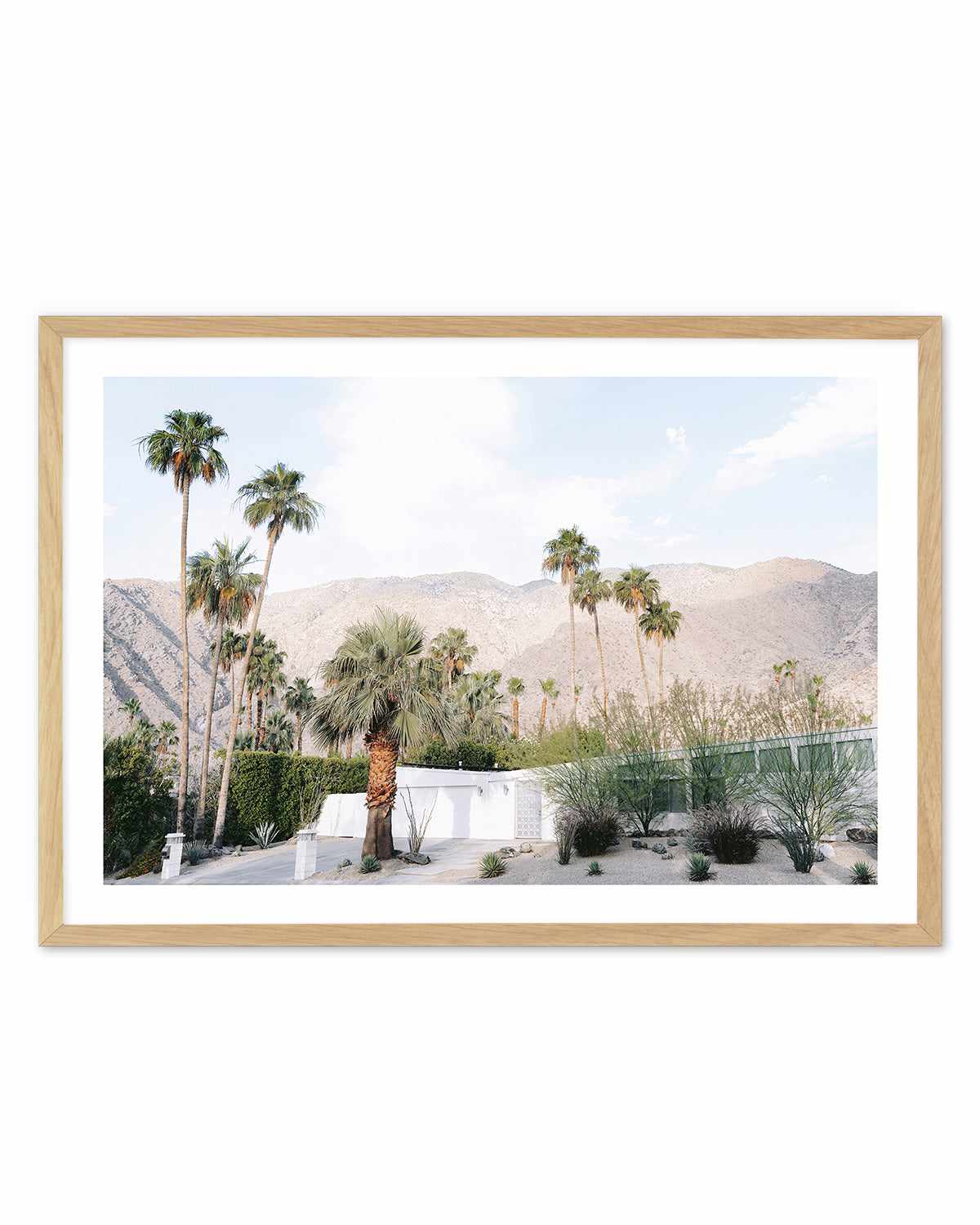 Green House Palm Springs Art Print