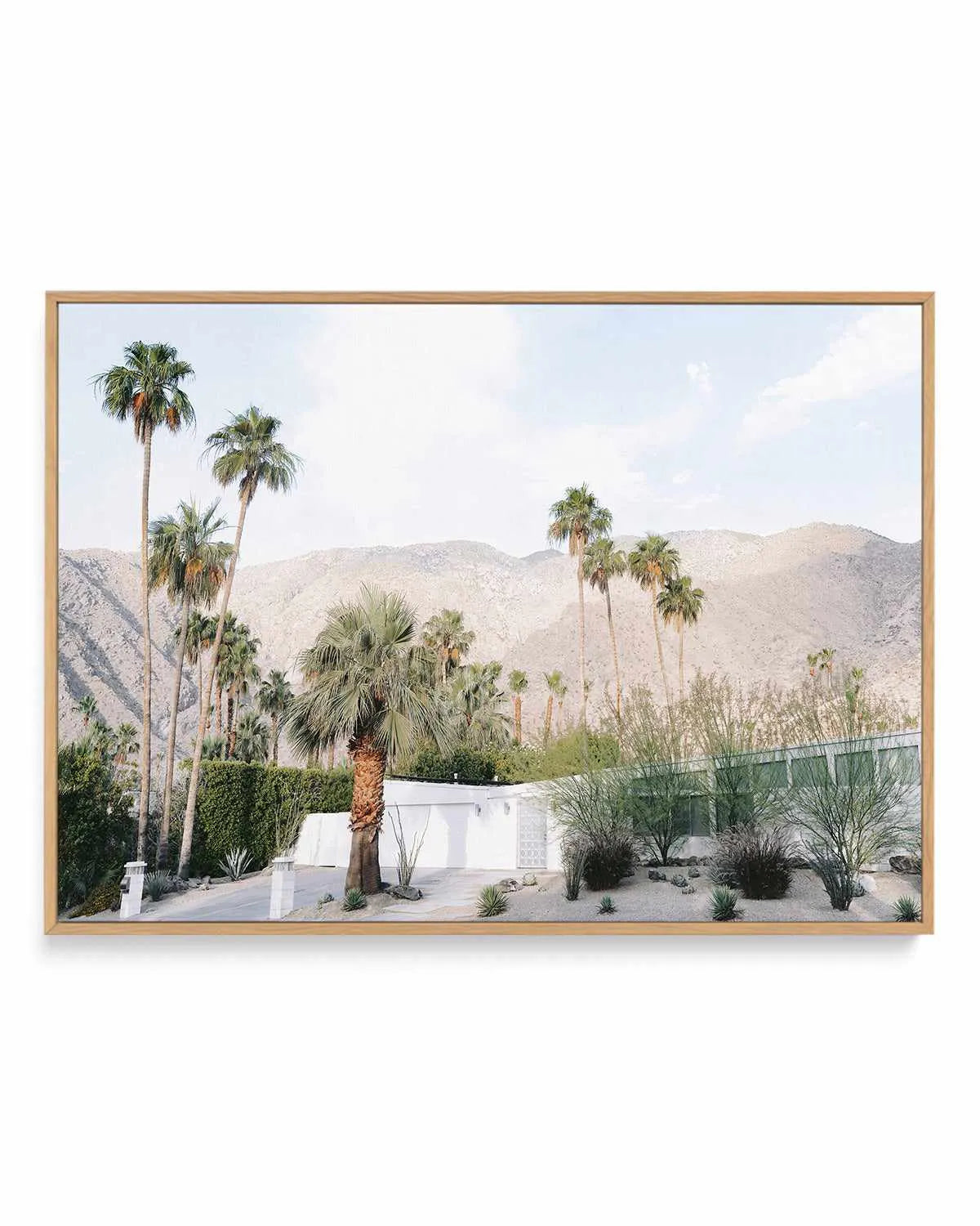 Green House Palm Springs | Framed Canvas Art Print from Olive et Oriel where you can shop wallpaper and artworks online