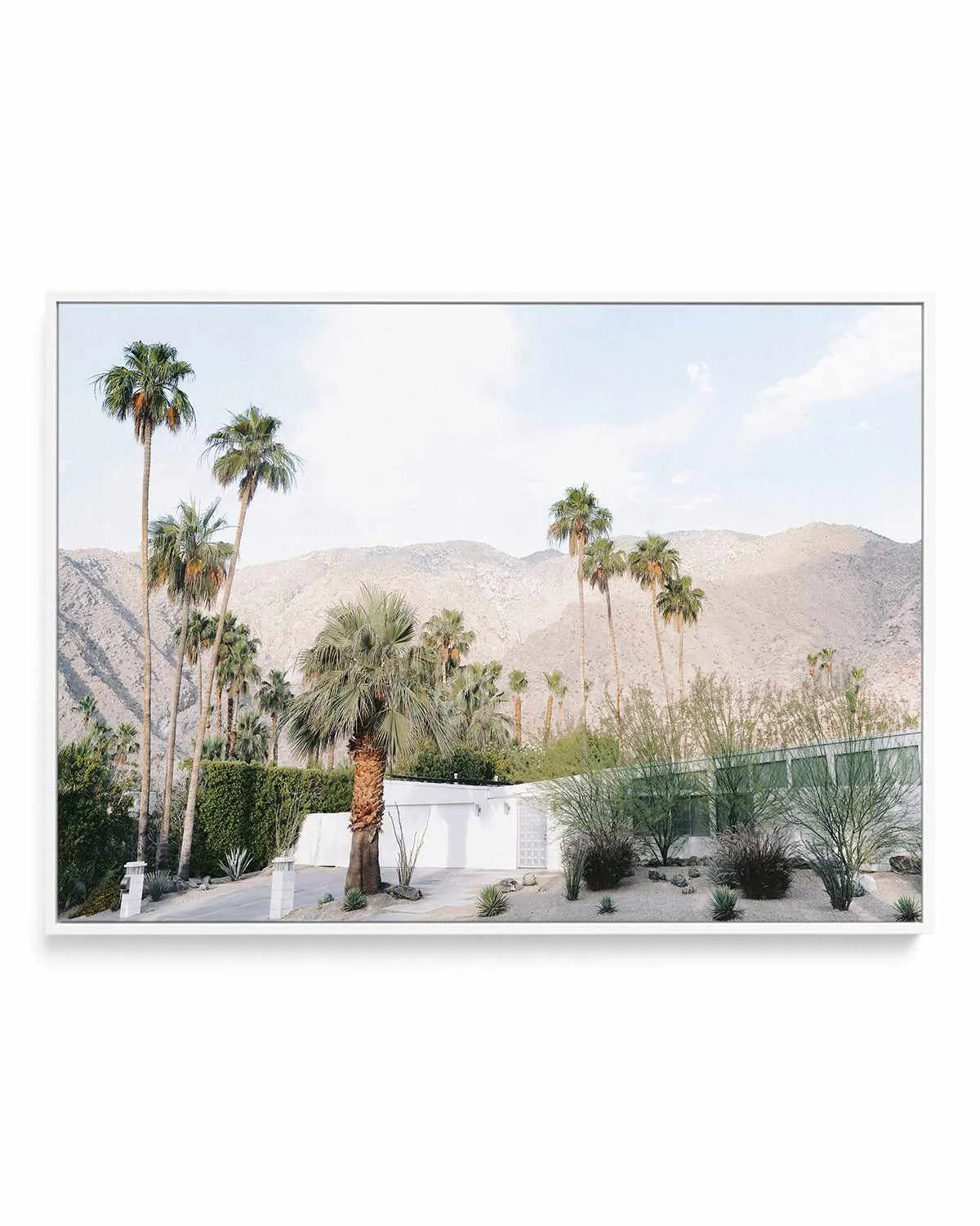 Green House Palm Springs | Framed Canvas Art Print from Olive et Oriel where you can shop wallpaper and artworks online