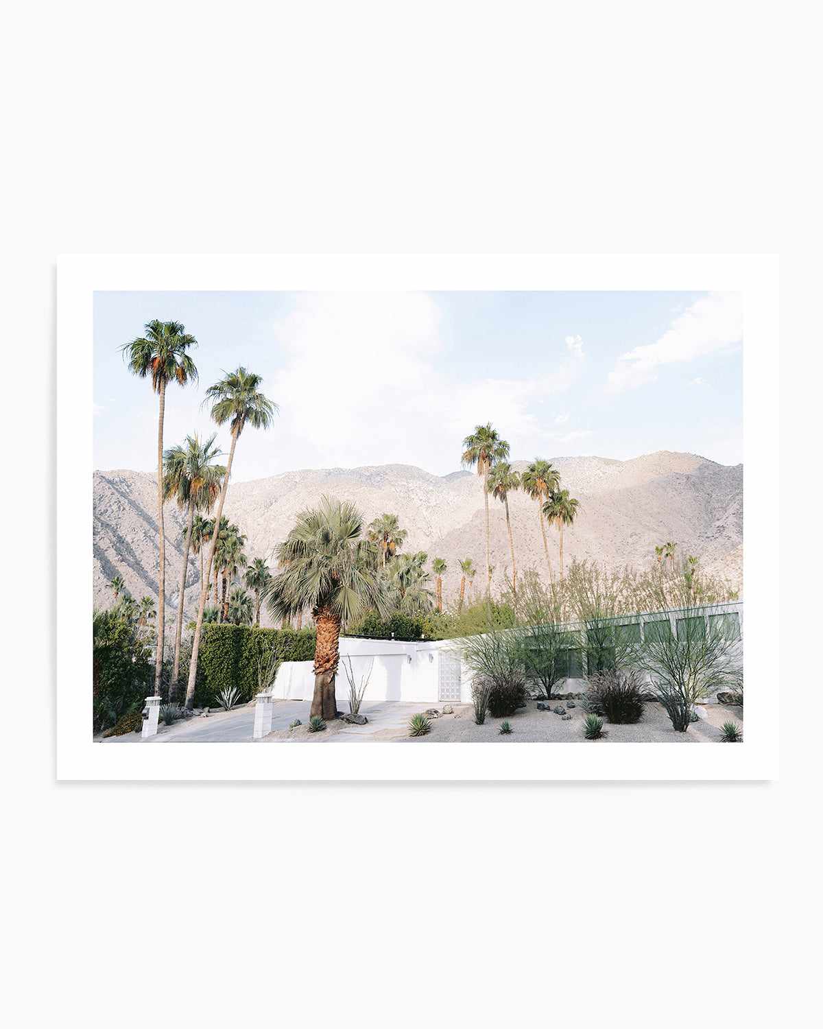 Green House Palm Springs Art Print