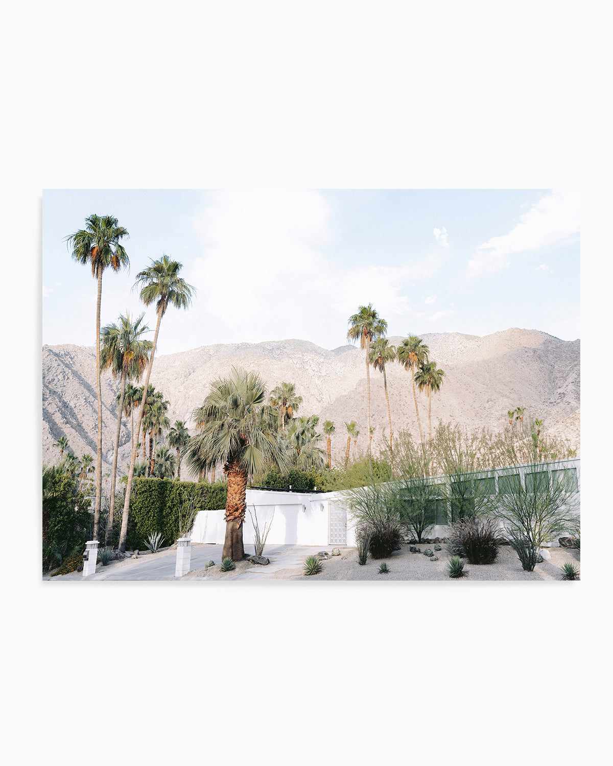 Green House Palm Springs Art Print