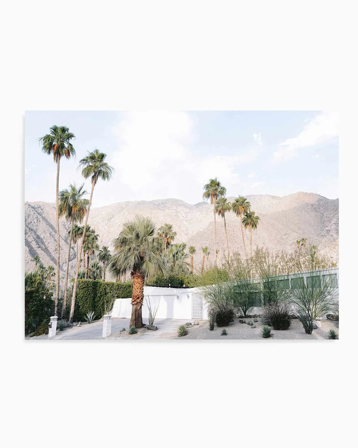 Green House Palm Springs Art Print from Olive et Oriel where you can shop wallpaper and artworks online