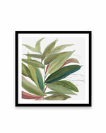 Green House Plant II Art Print