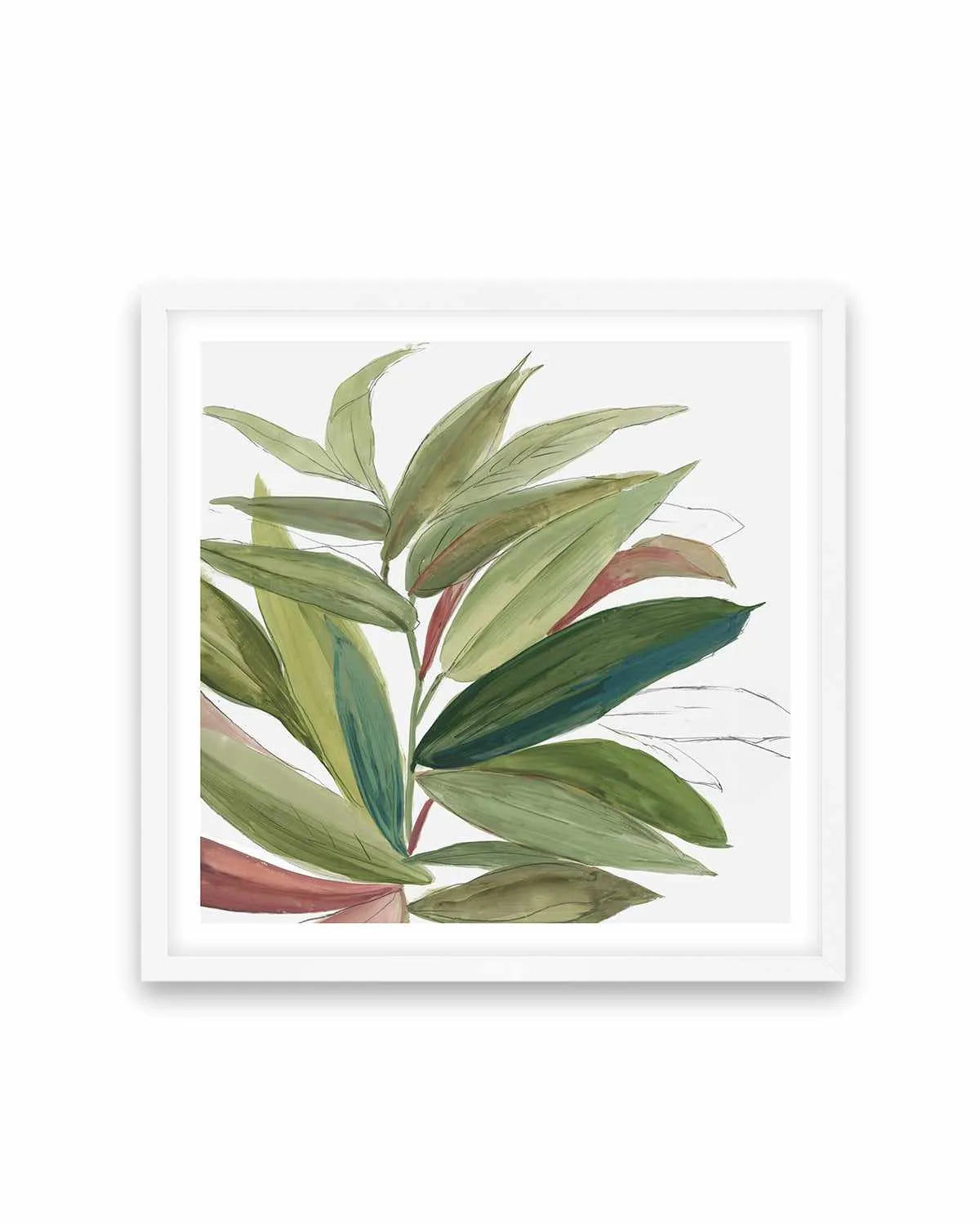Green House Plant II Art Print from Olive et Oriel where you can shop wallpaper and artworks online