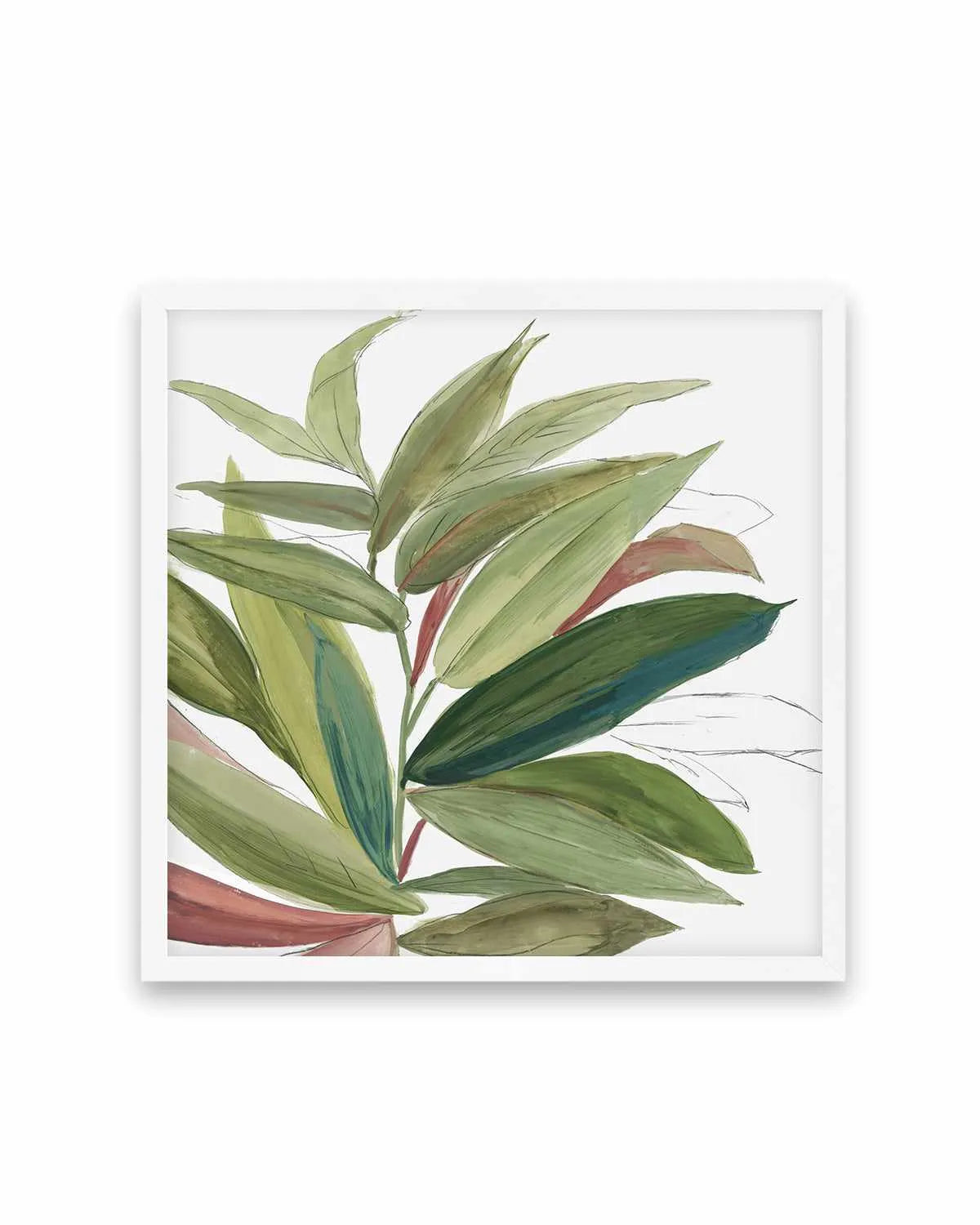 Green House Plant II Art Print from Olive et Oriel where you can shop wallpaper and artworks online
