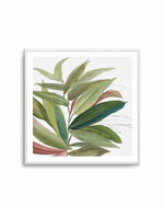Green House Plant II Art Print