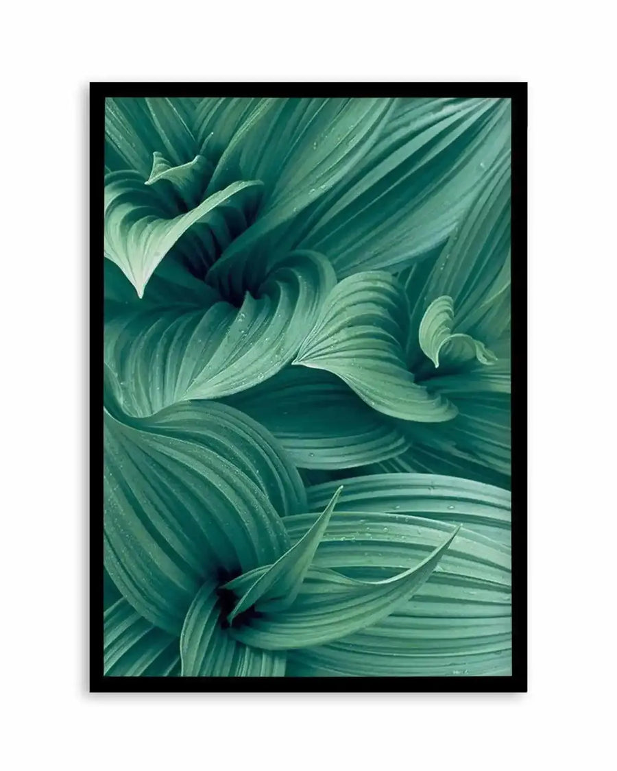 Framed art print featuring a close-up photograph of lush green leaves with visible veins and water droplets, arranged in a swirling, organic composition. The leaves are a deep teal-green with subtle variations in shade, creating a sense of depth and movement. The print is displayed in a black frame with a white border.