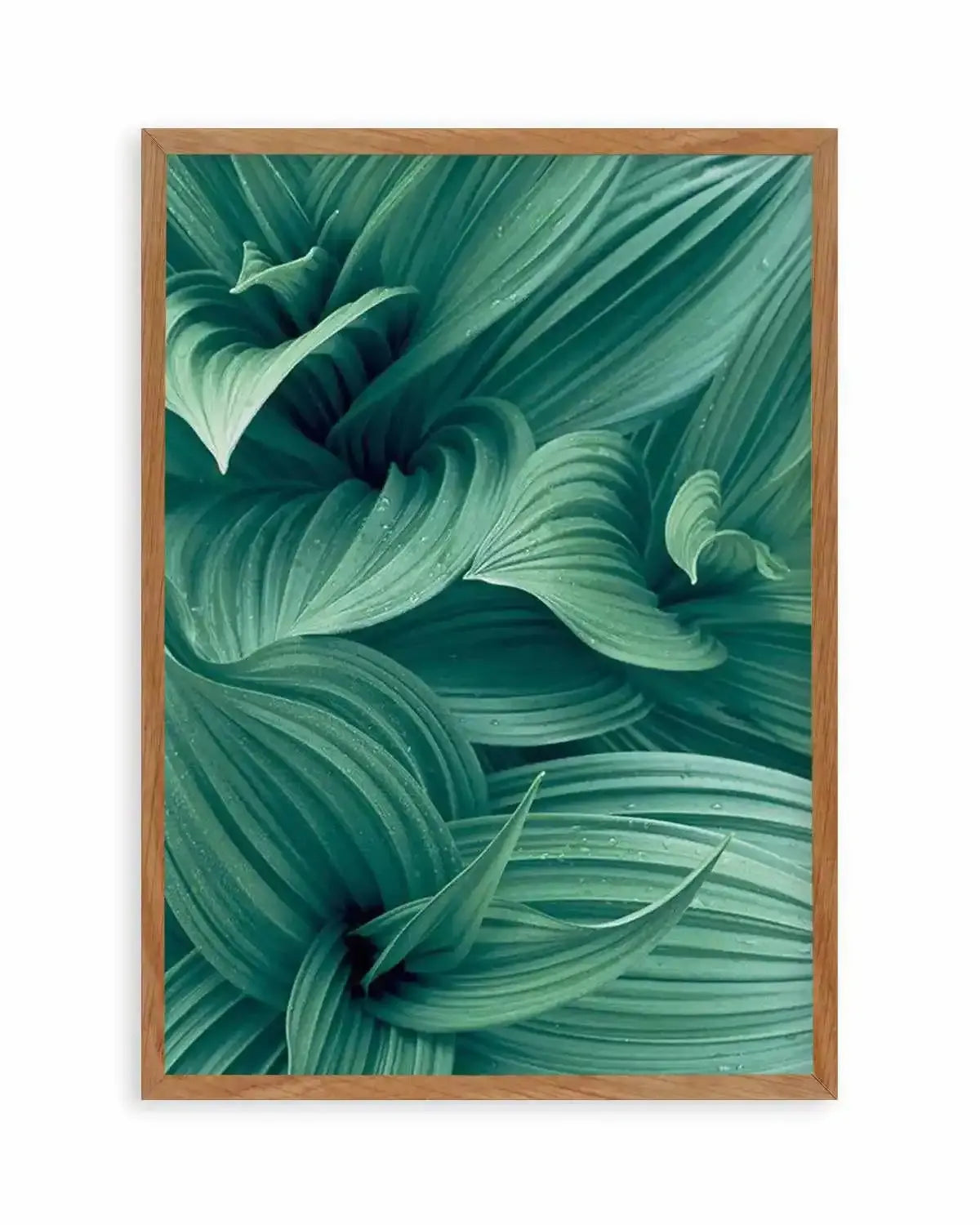 Green Leaves I Art Print from Olive et Oriel where you can shop wallpaper and artworks online
