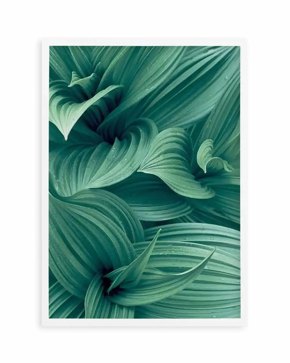 Green Leaves I Art Print from Olive et Oriel where you can shop wallpaper and artworks online
