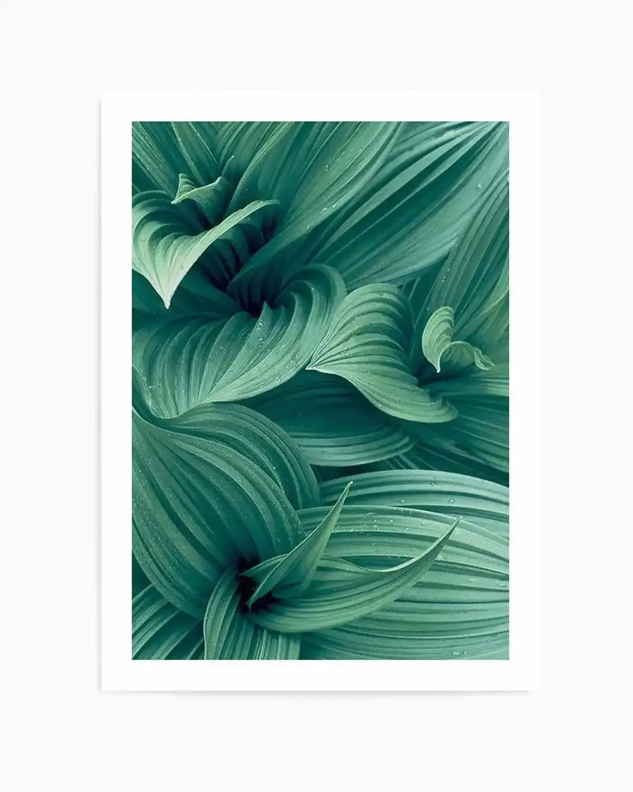 Close-up photography art print featuring a dense cluster of large, ribbed leaves in varying shades of deep teal and emerald green, with visible water droplets on their surfaces. The leaves are arranged in a dynamic, swirling composition, creating a sense of depth and organic movement.