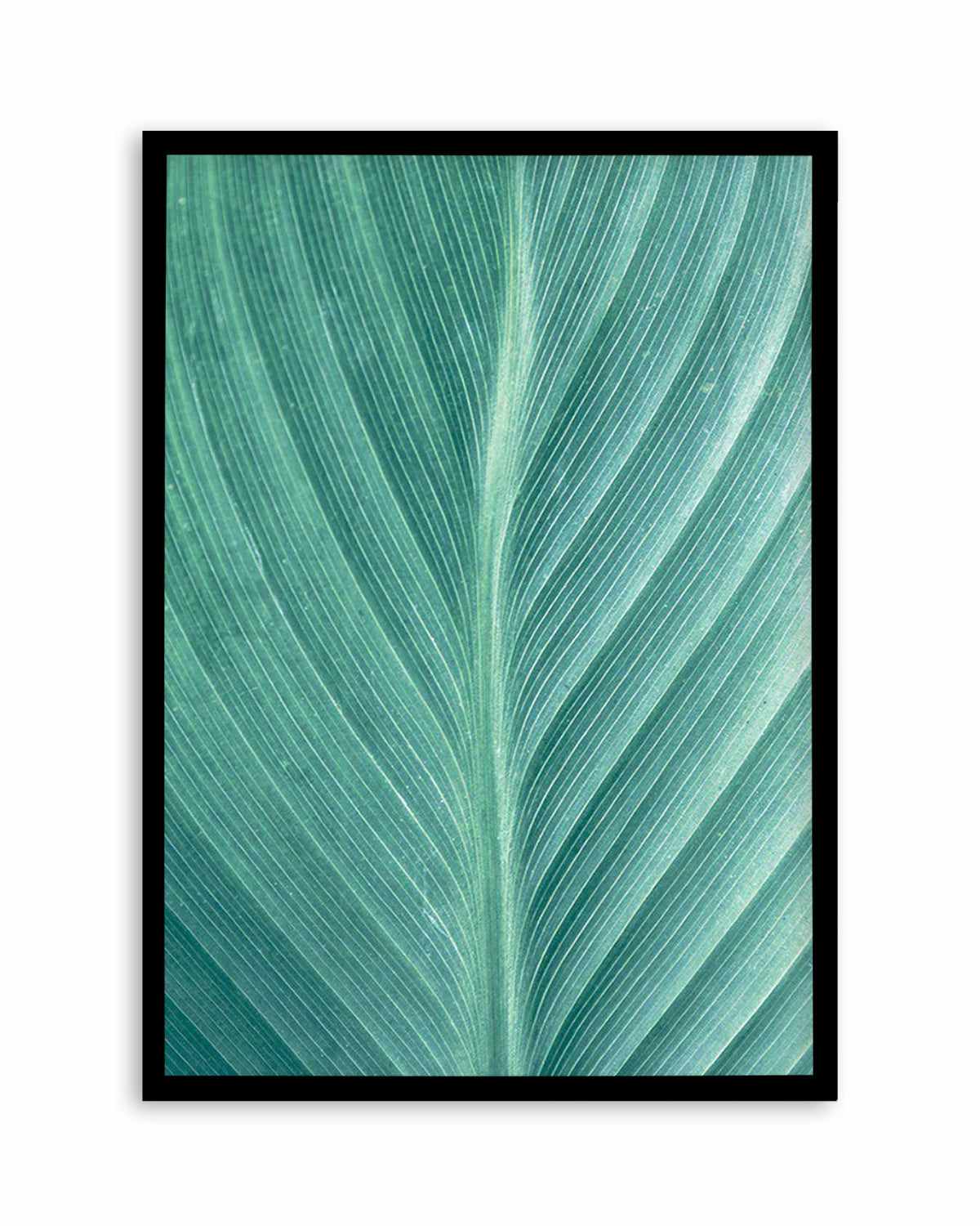 Green Leaves II Art Print