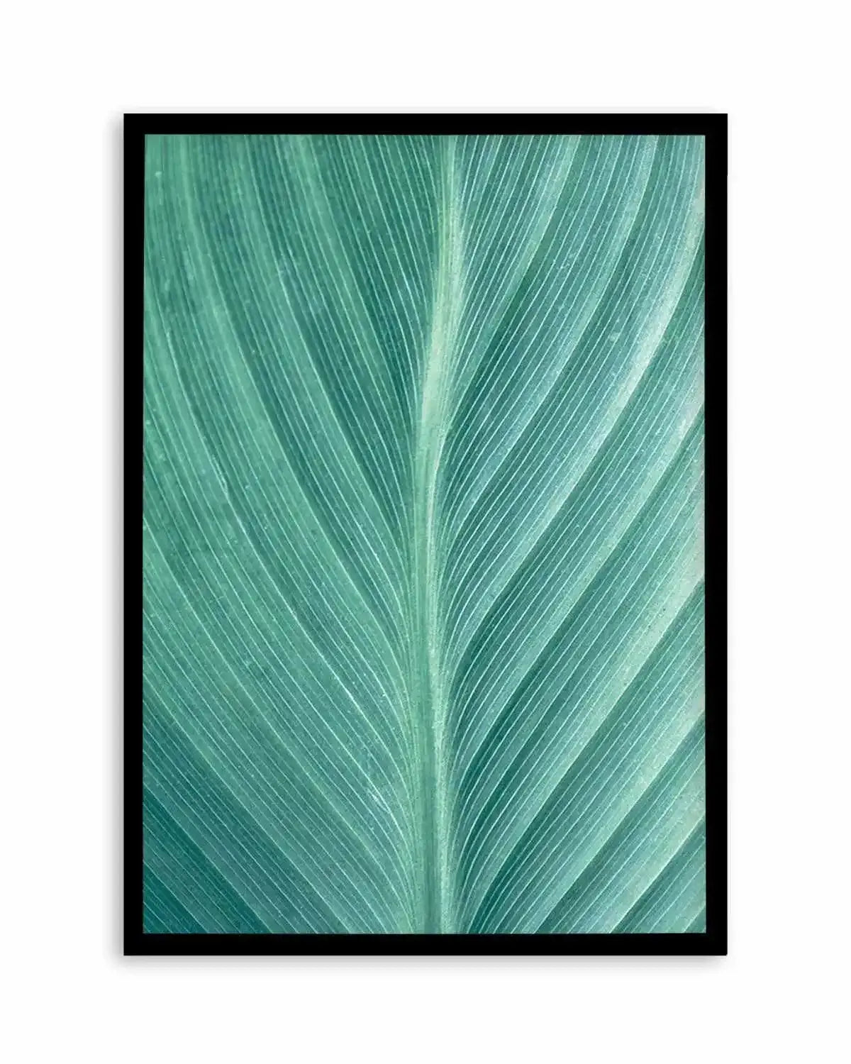 Green Leaves II Art Print from Olive et Oriel where you can shop wallpaper and artworks online