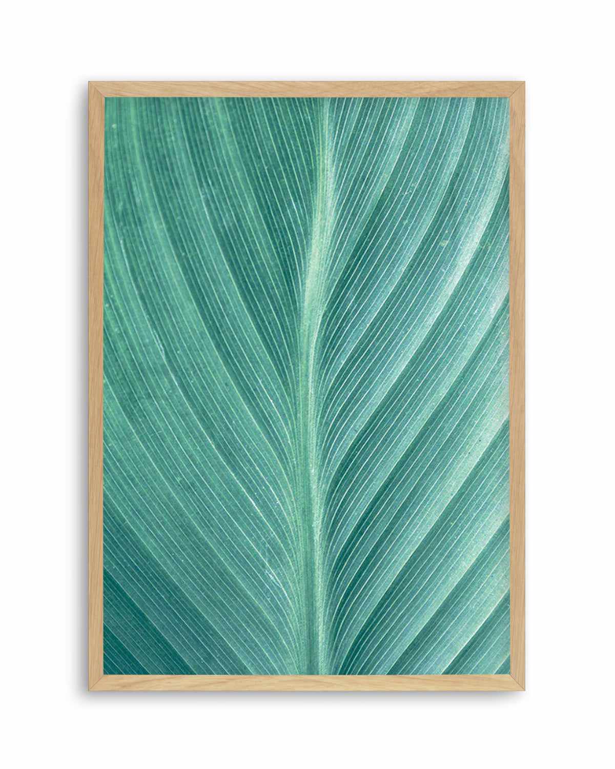 Green Leaves II Art Print