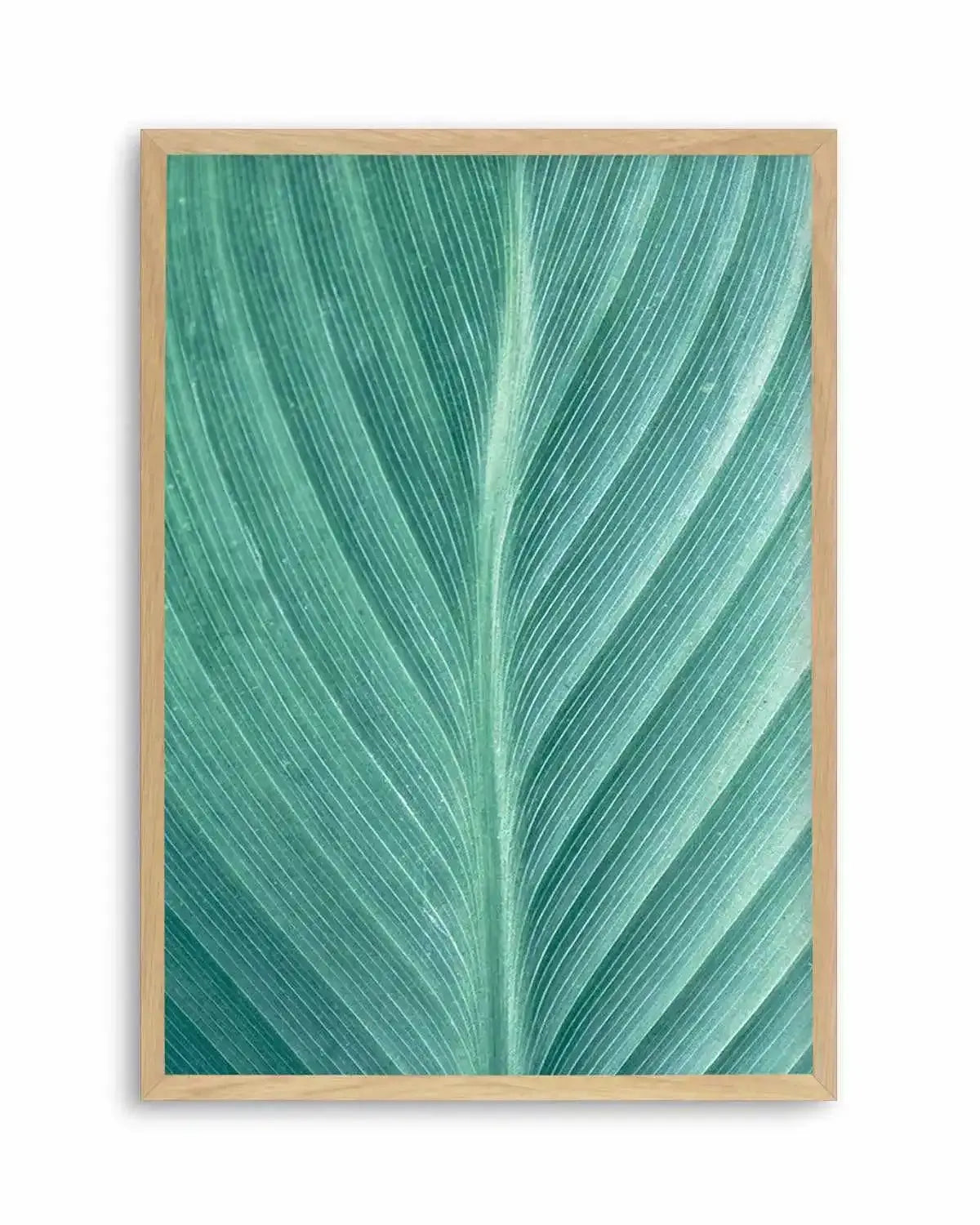 Green Leaves II Art Print from Olive et Oriel where you can shop wallpaper and artworks online