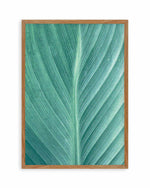 Green Leaves II Art Print