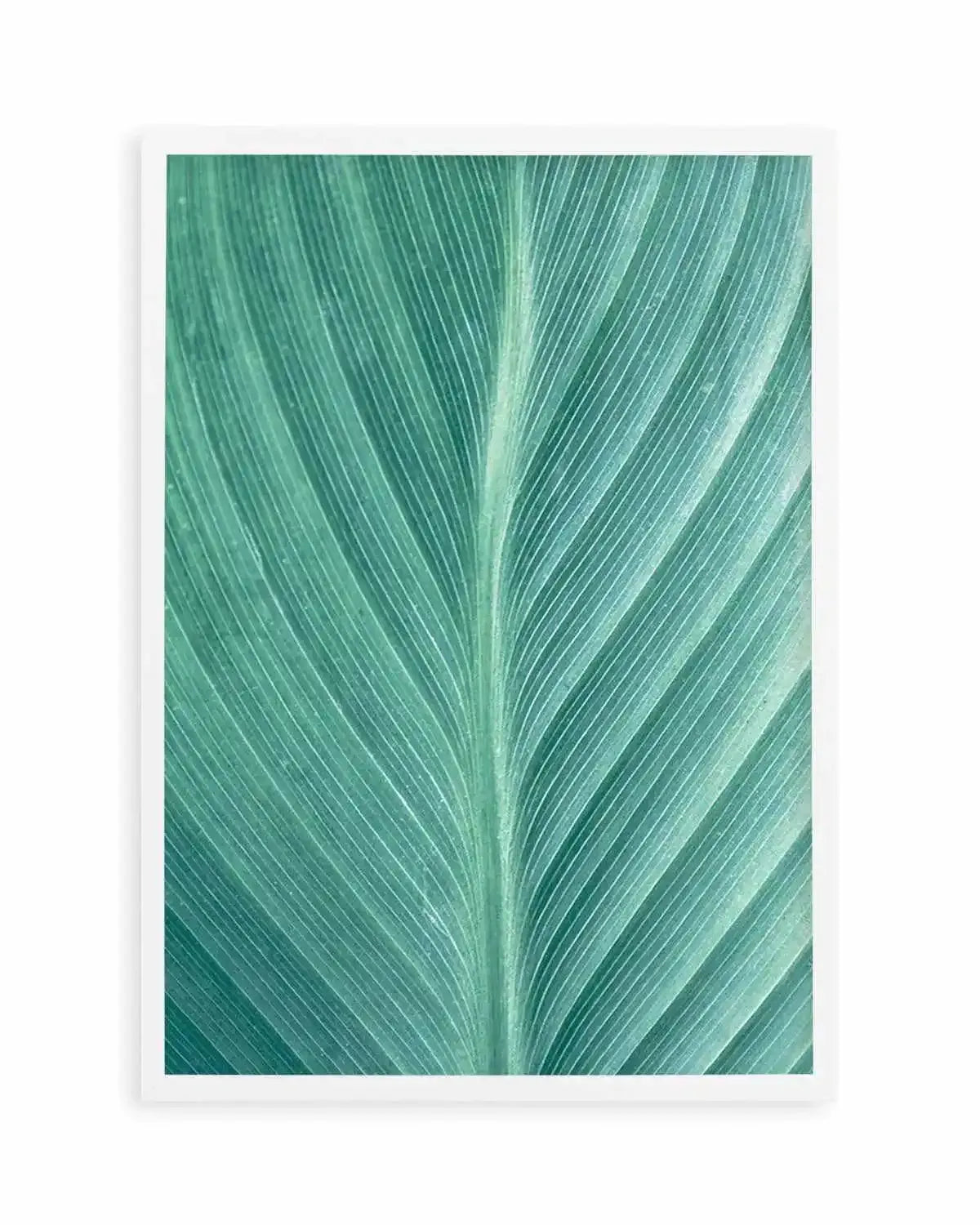 Green Leaves II Art Print from Olive et Oriel where you can shop wallpaper and artworks online