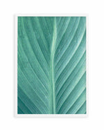 Green Leaves II Art Print