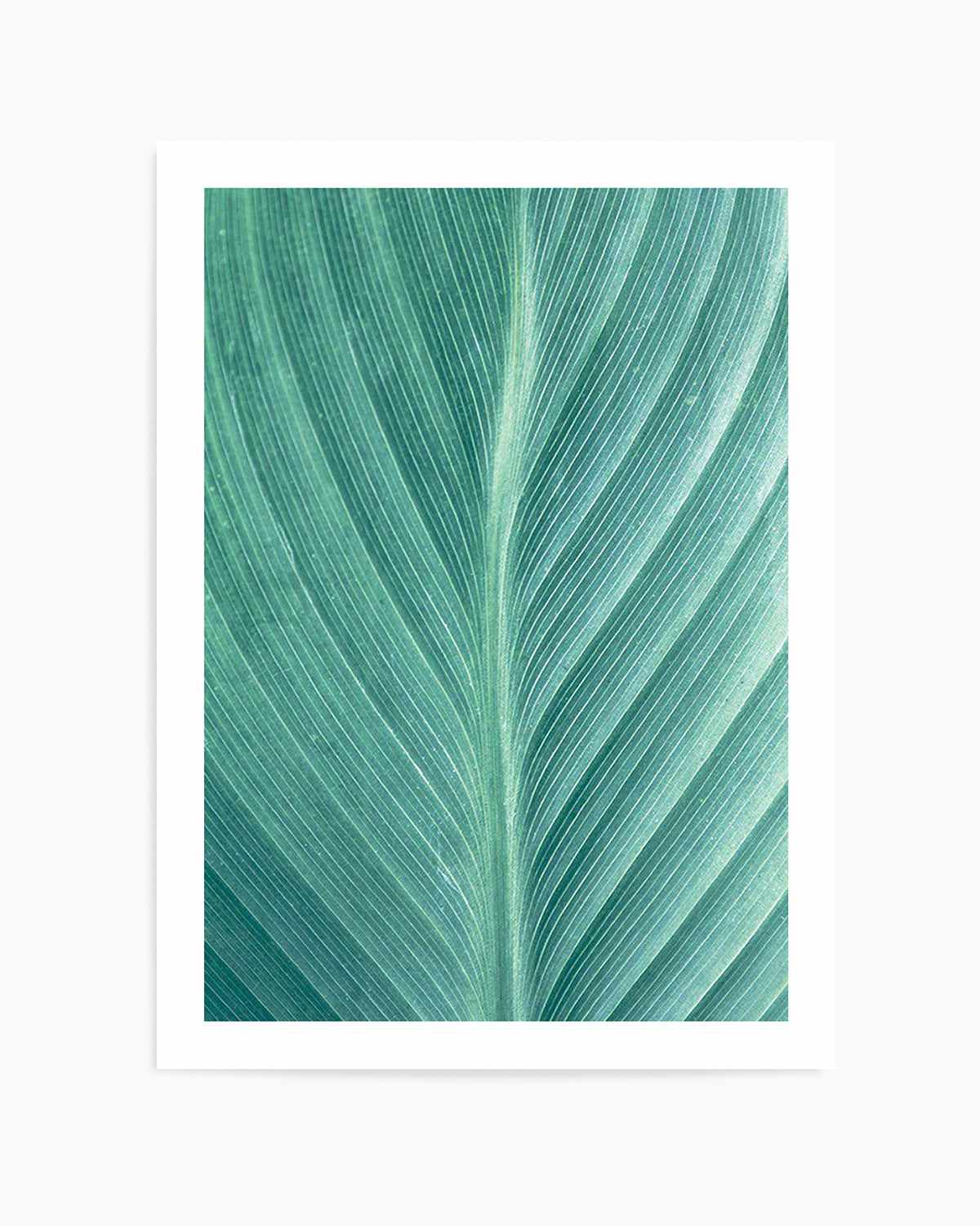 Green Leaves II Art Print