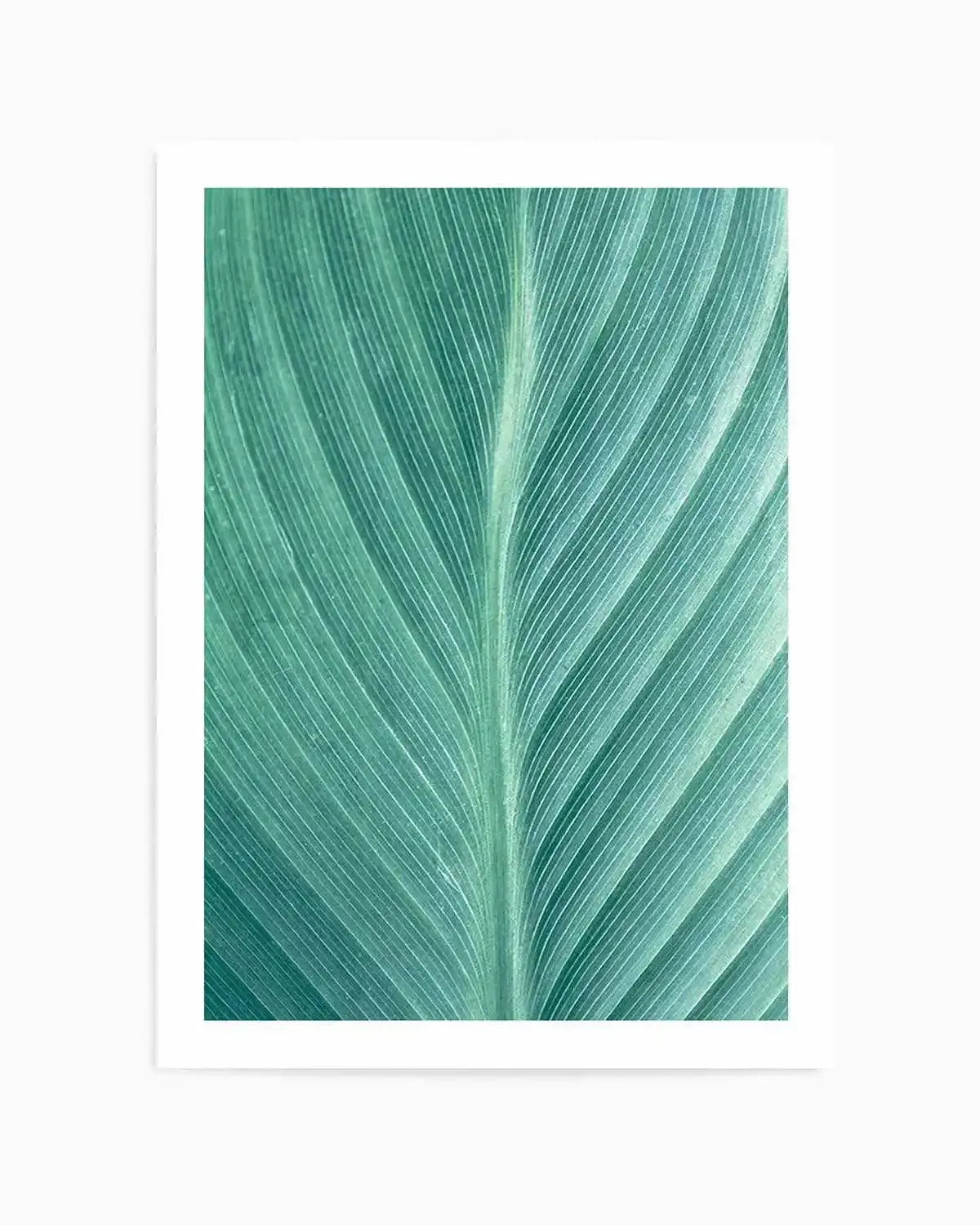 Green Leaves II Art Print from Olive et Oriel where you can shop wallpaper and artworks online