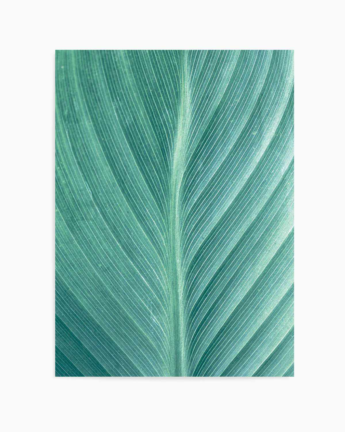 Green Leaves II Art Print