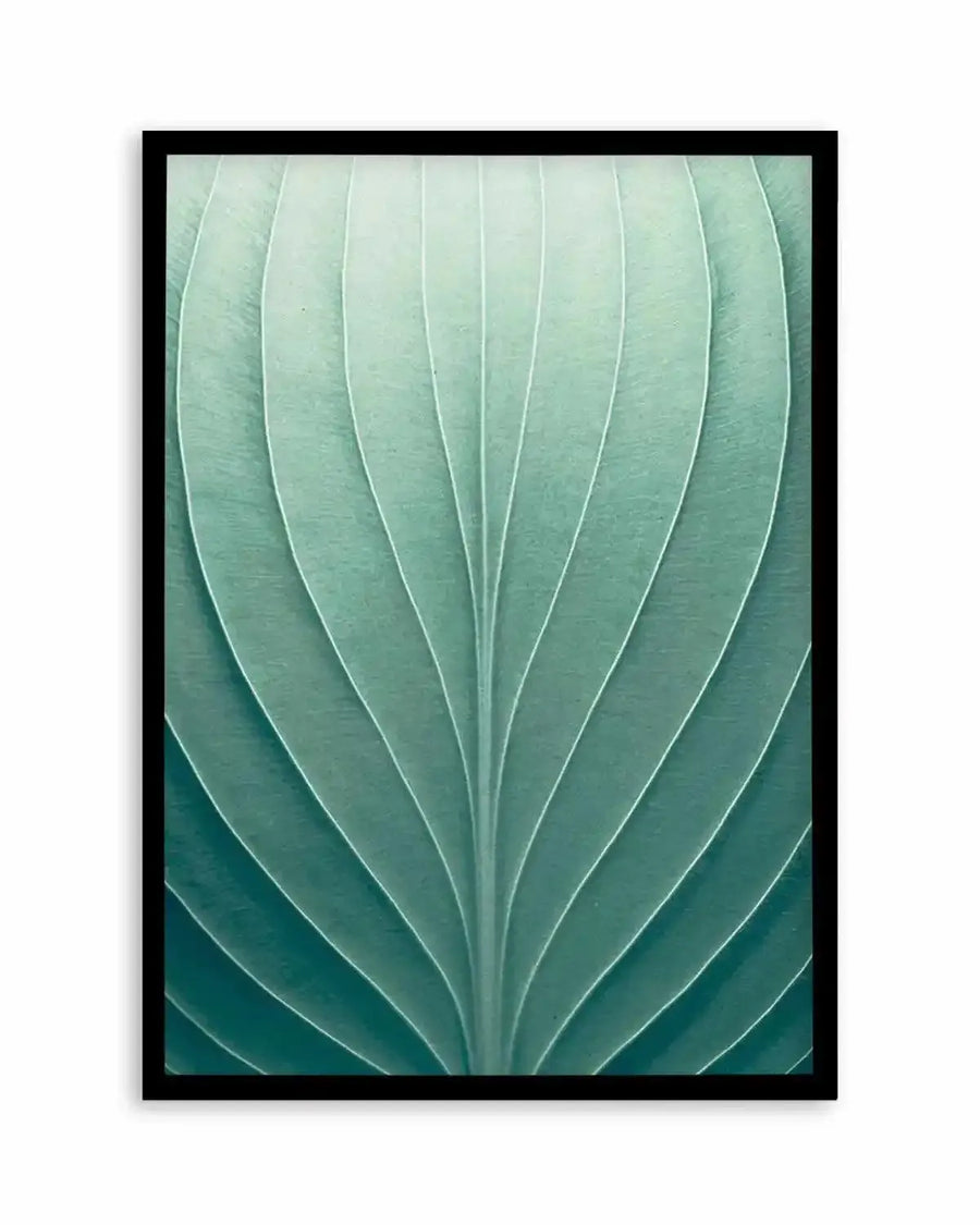 Art print featuring a close-up photograph of a green leaf with prominent parallel veins in varying shades of teal and mint green, creating a natural, organic pattern. The print is displayed in a black frame with a white border.