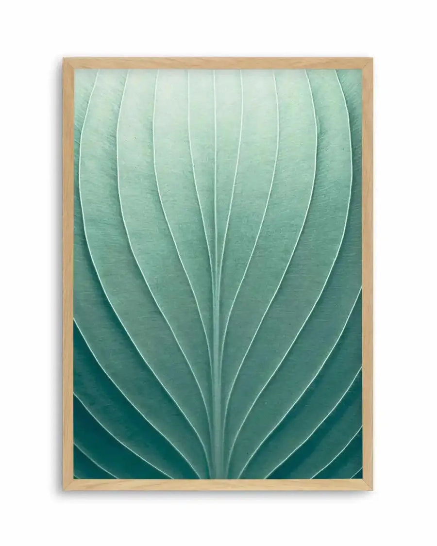 Framed photography art print featuring a close-up of a green leaf with prominent parallel venation, displayed in a natural oak frame with white border. The leaf's surface shows subtle ridges and valleys, creating a textured appearance, with colours transitioning from a lighter, almost mint green at the top to a deeper, more saturated teal green towards the bottom.