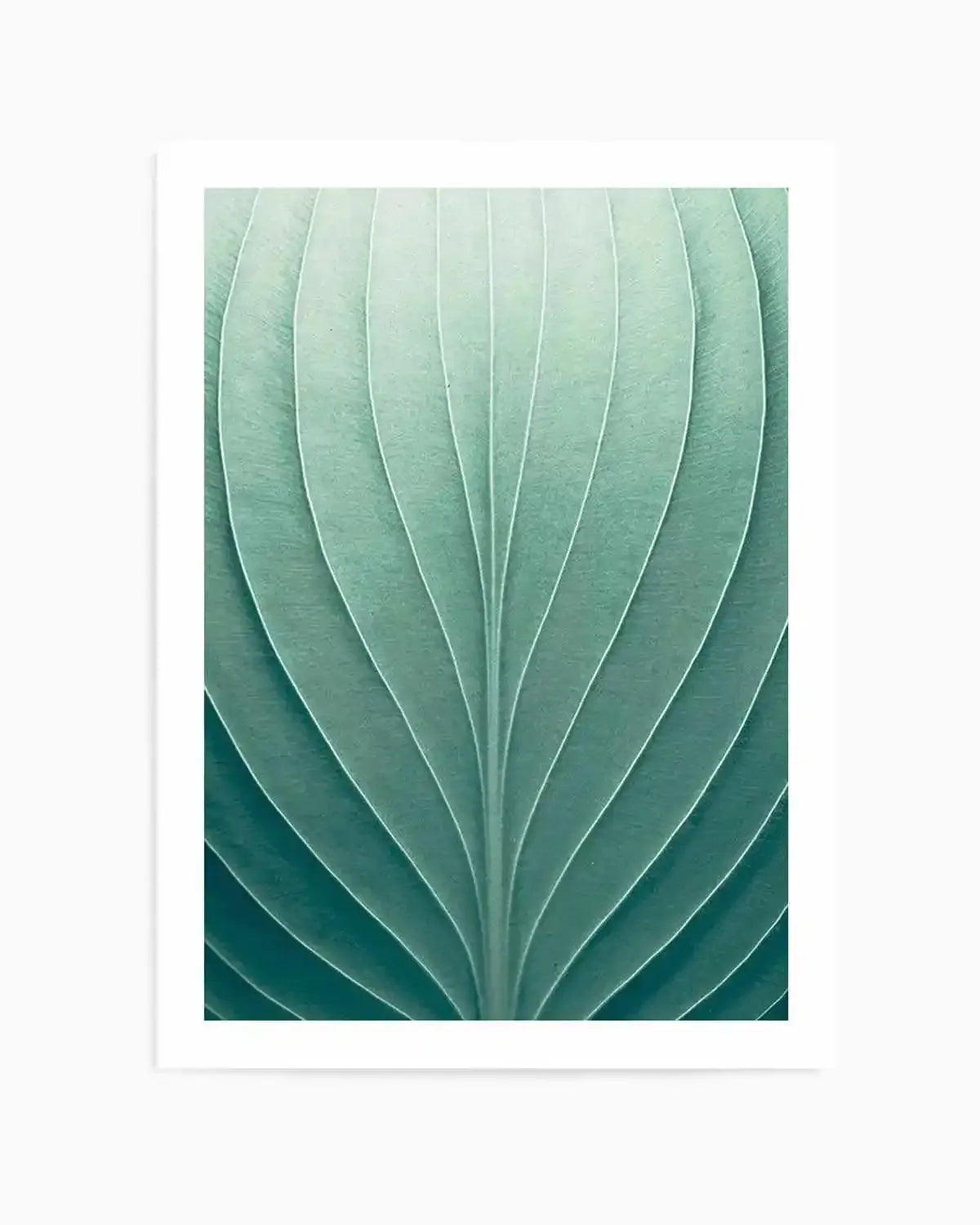 Green Leaves III Art Print from Olive et Oriel where you can shop wallpaper and artworks online