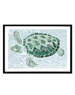 Green Turtle II Art Print