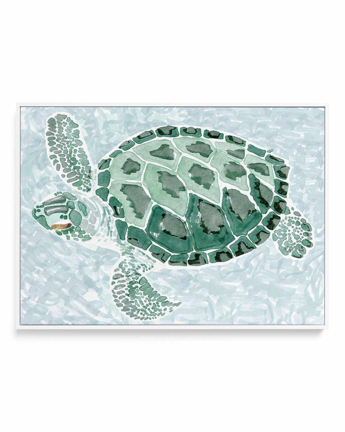 Green Turtle II | Framed Canvas Art Print