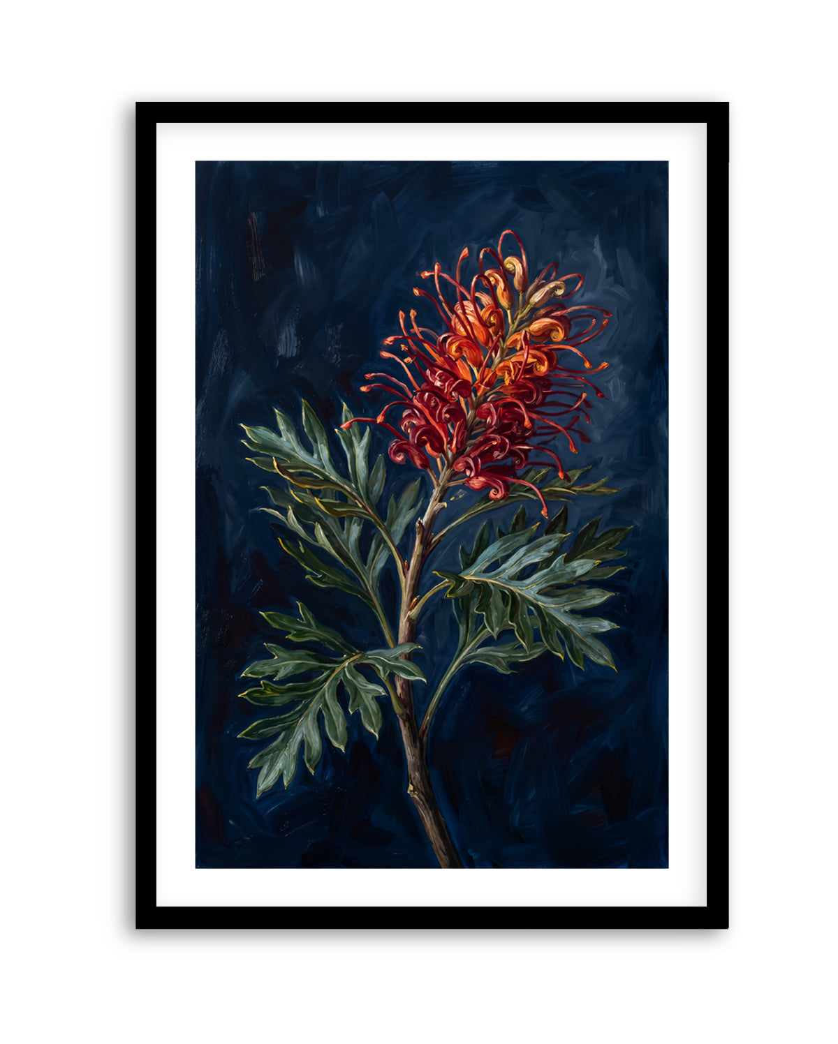 Grevillea On Navy Botanicals Study | Art Print