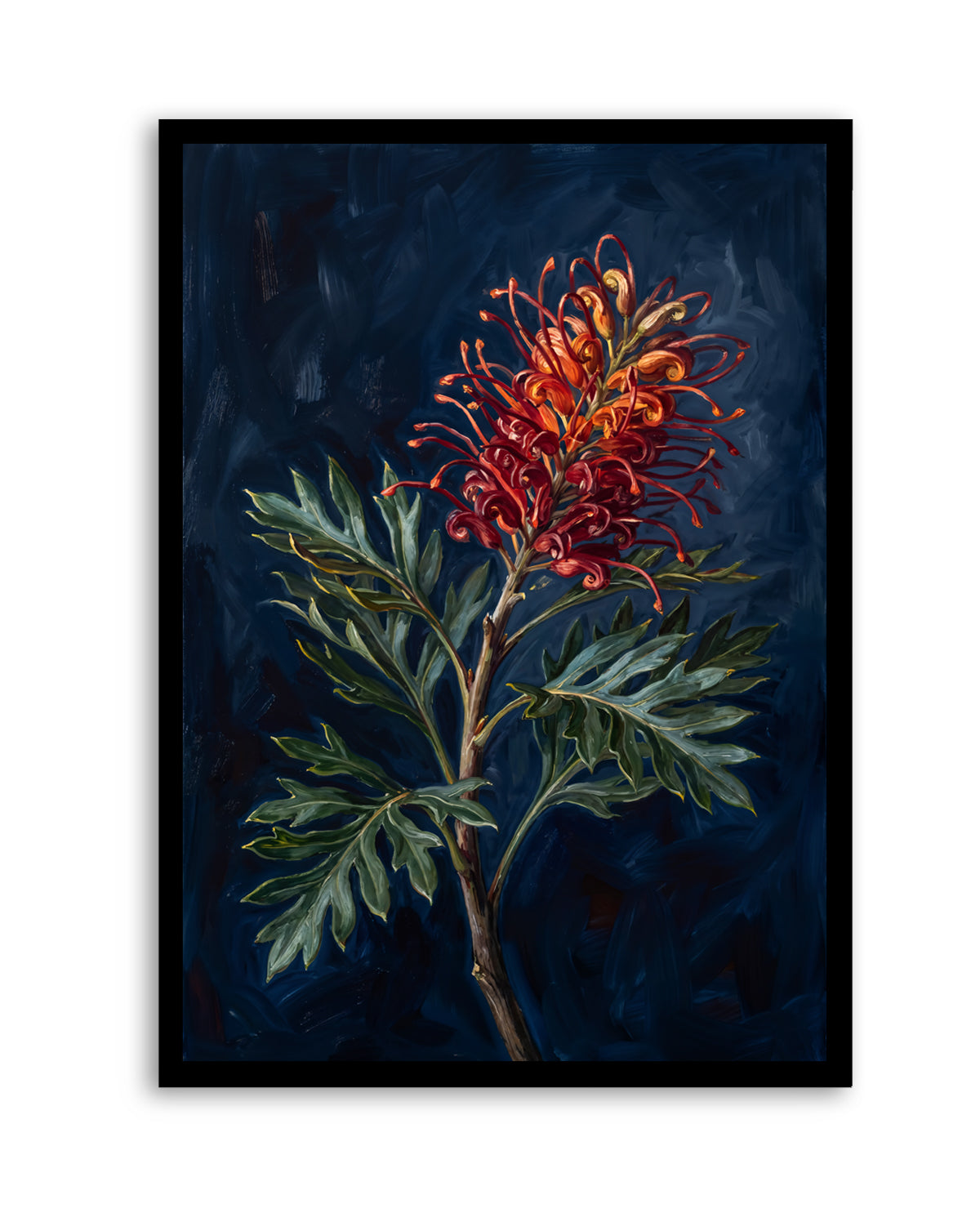 Grevillea On Navy Botanicals Study | Art Print