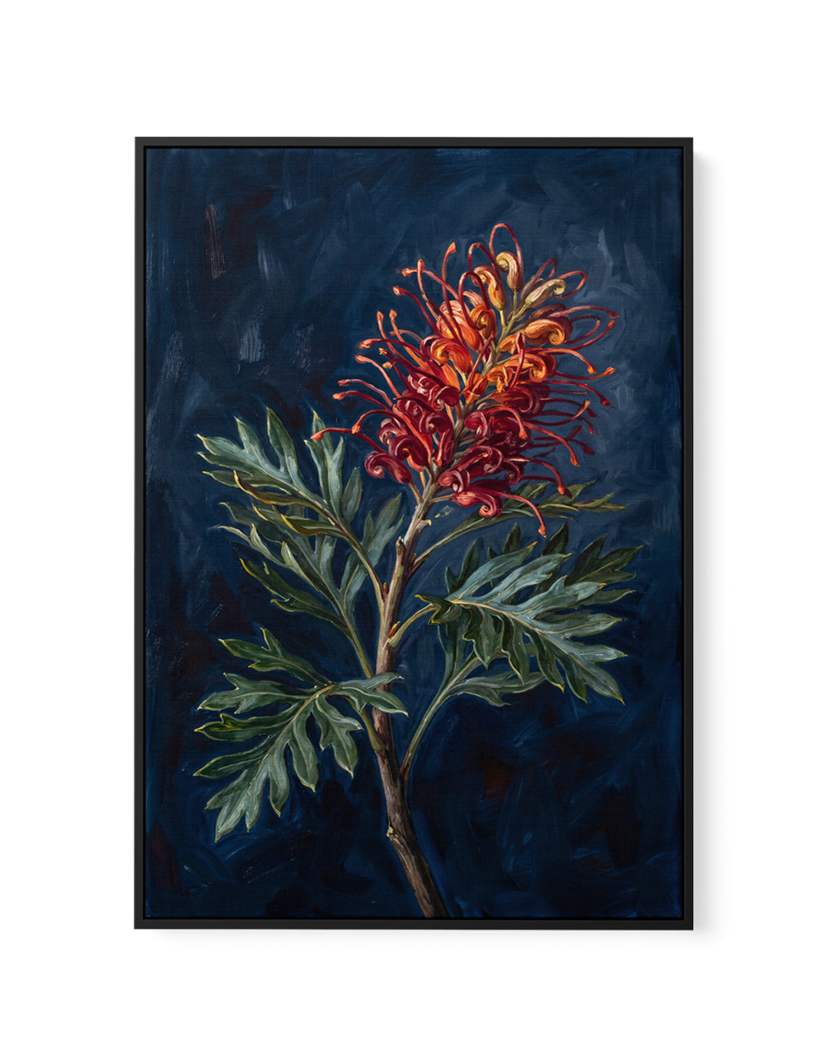 Grevillea On Navy Botanicals Study | Framed Canvas Art Print