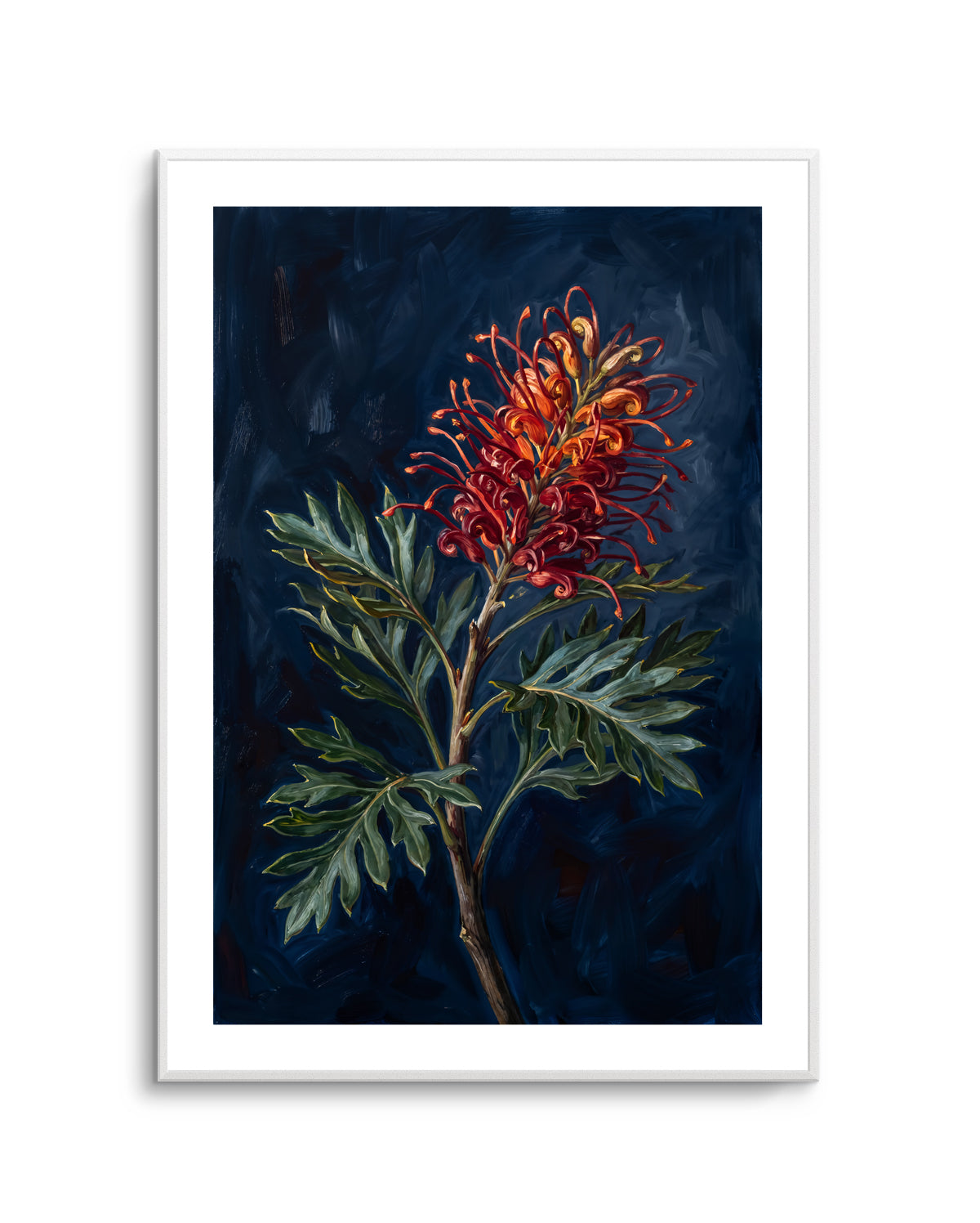 Grevillea On Navy Botanicals Study | Art Print