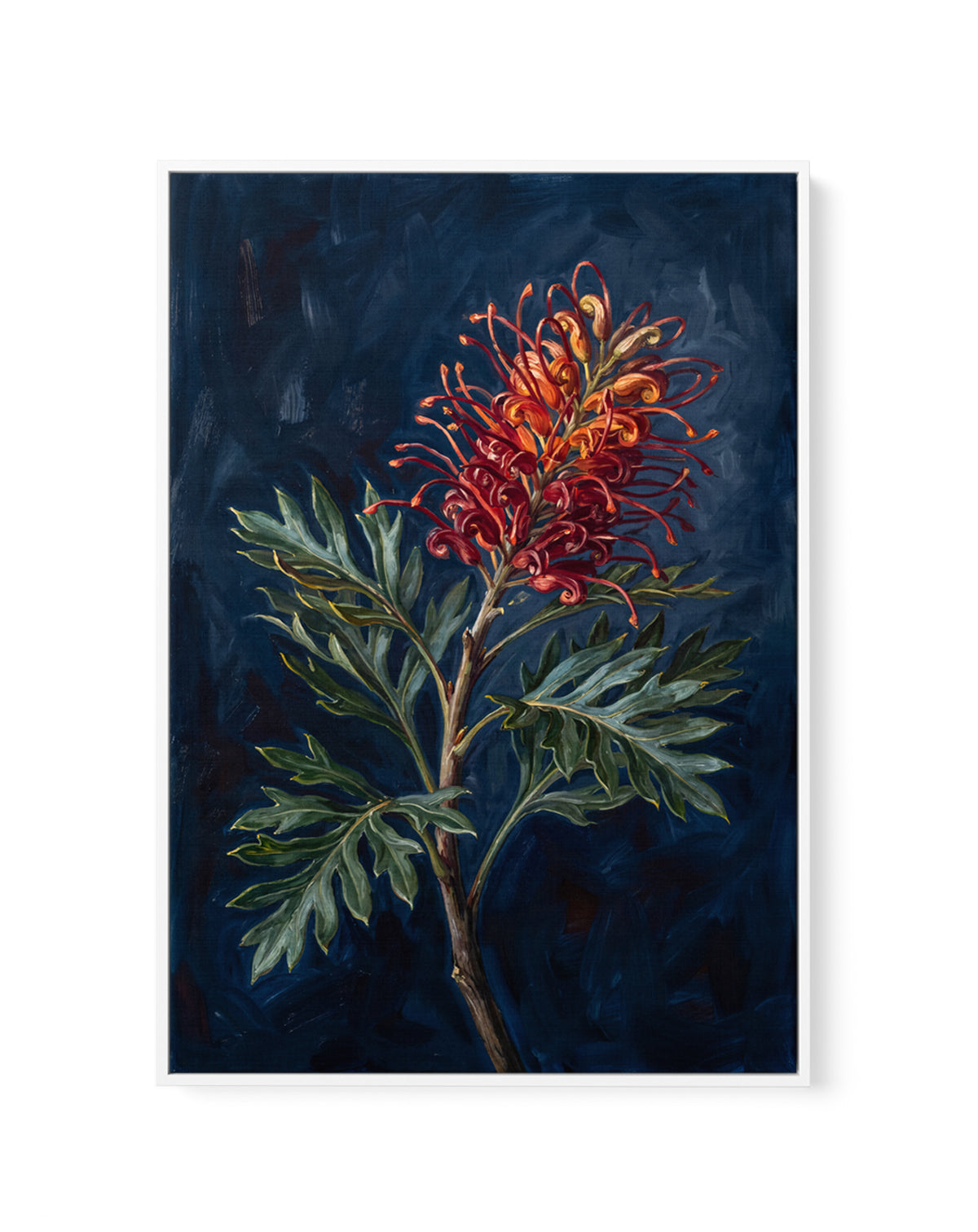 Grevillea On Navy Botanicals Study | Framed Canvas Art Print