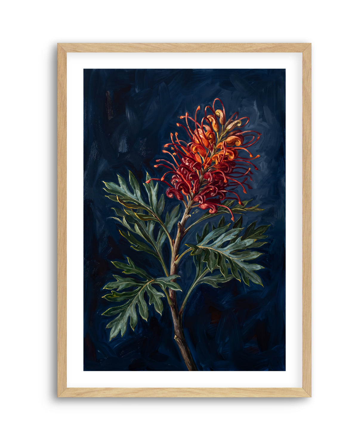 Grevillea On Navy Botanicals Study | Art Print