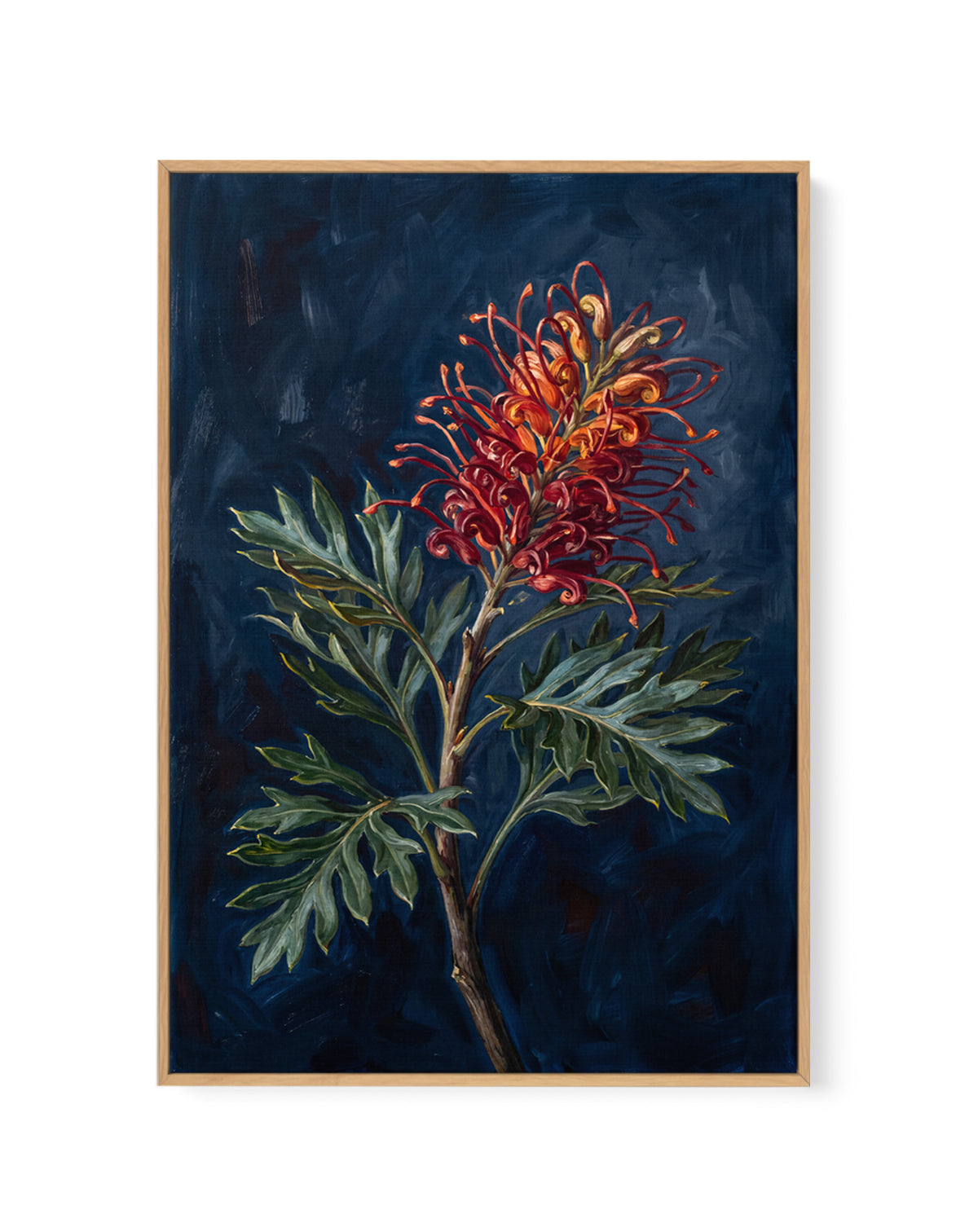 Grevillea On Navy Botanicals Study | Framed Canvas Art Print