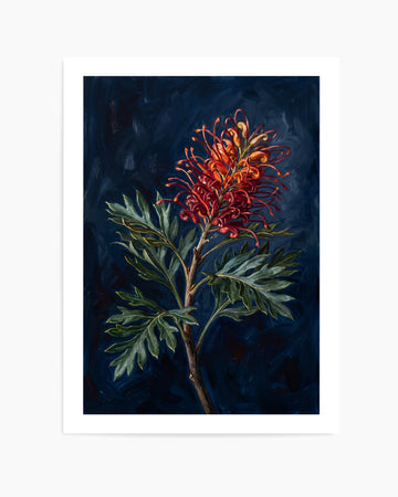 Grevillea On Navy Botanicals Study | Art Print