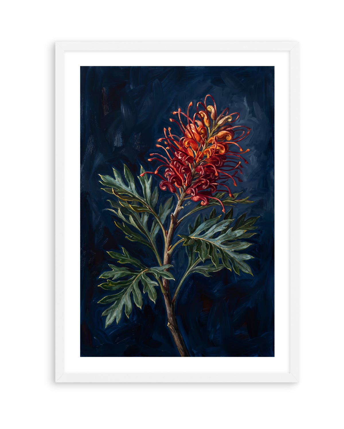 Grevillea On Navy Botanicals Study | Art Print