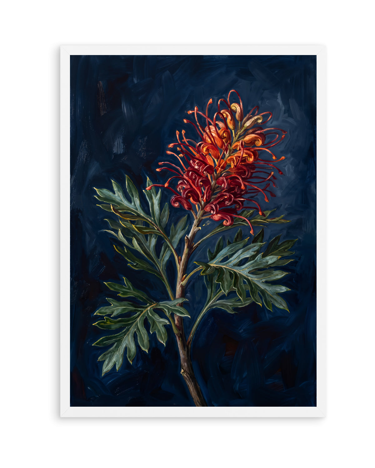 Grevillea On Navy Botanicals Study | Art Print