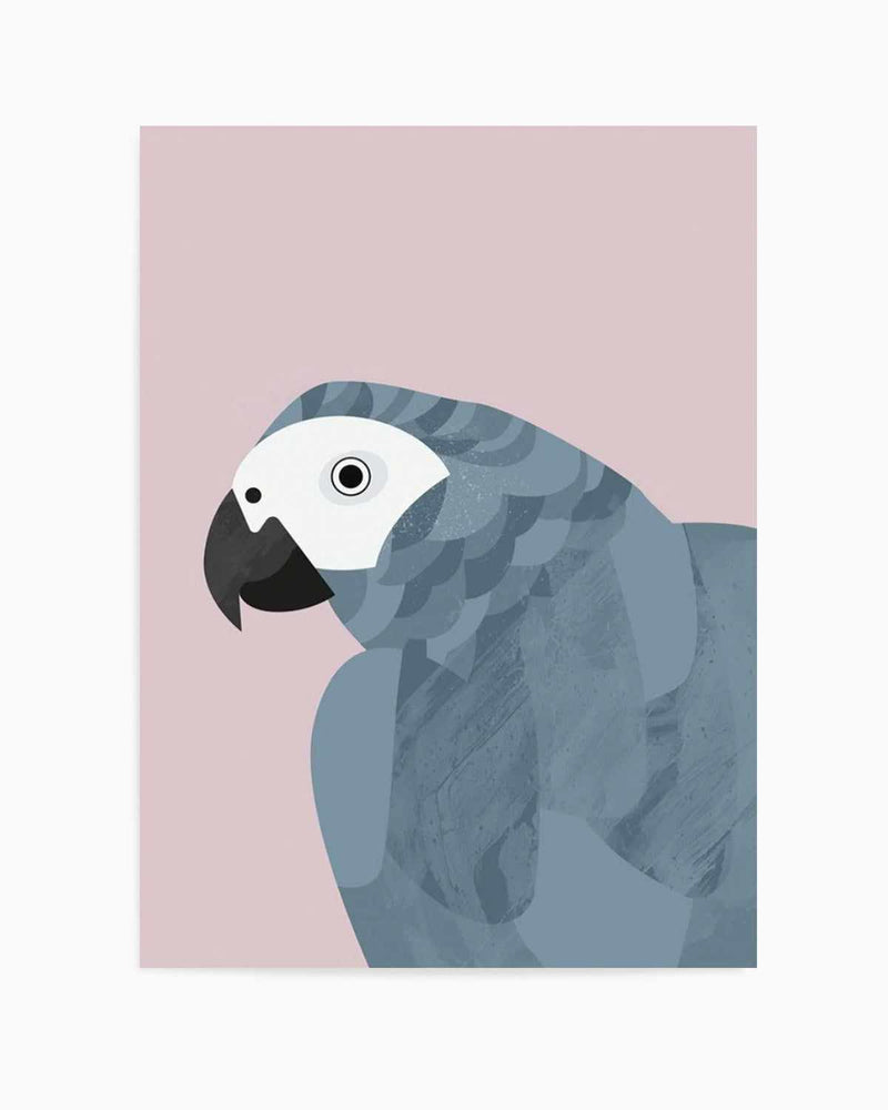 Grey Macaw by Dan Hobday Art Print