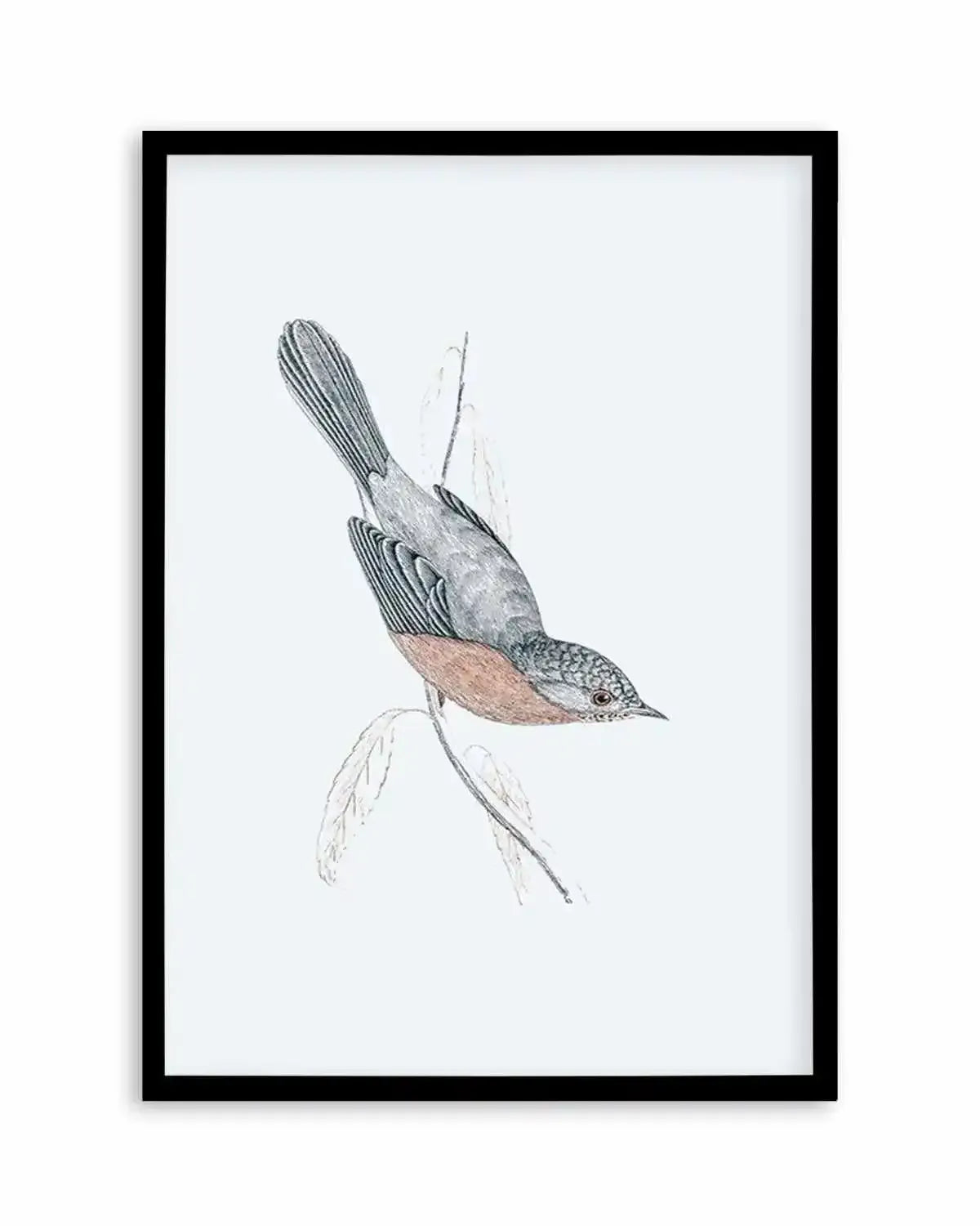 Hamptons Bird I Art Print from Olive et Oriel where you can shop wallpaper and artworks online