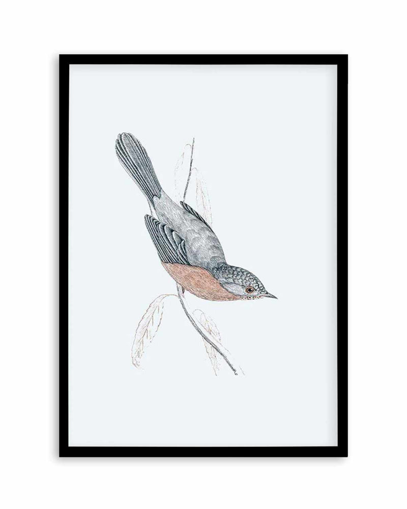 Hamptons Bird I Art Print