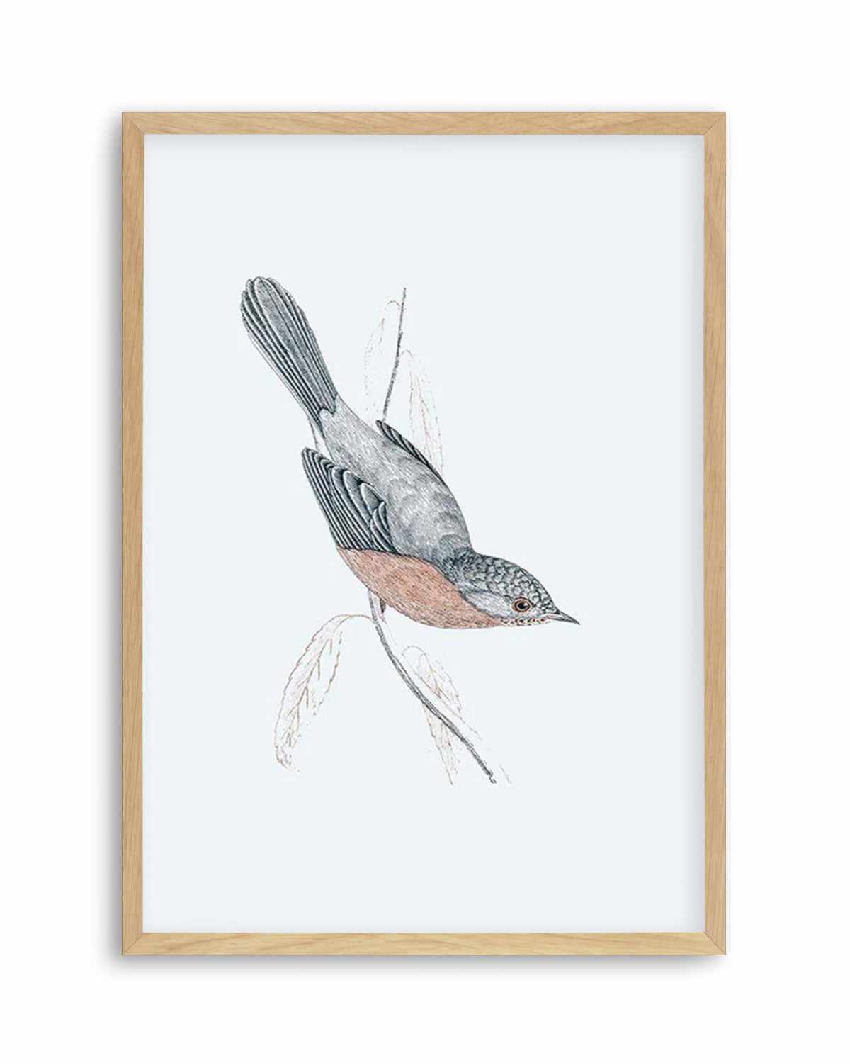 Hamptons Bird I Art Print