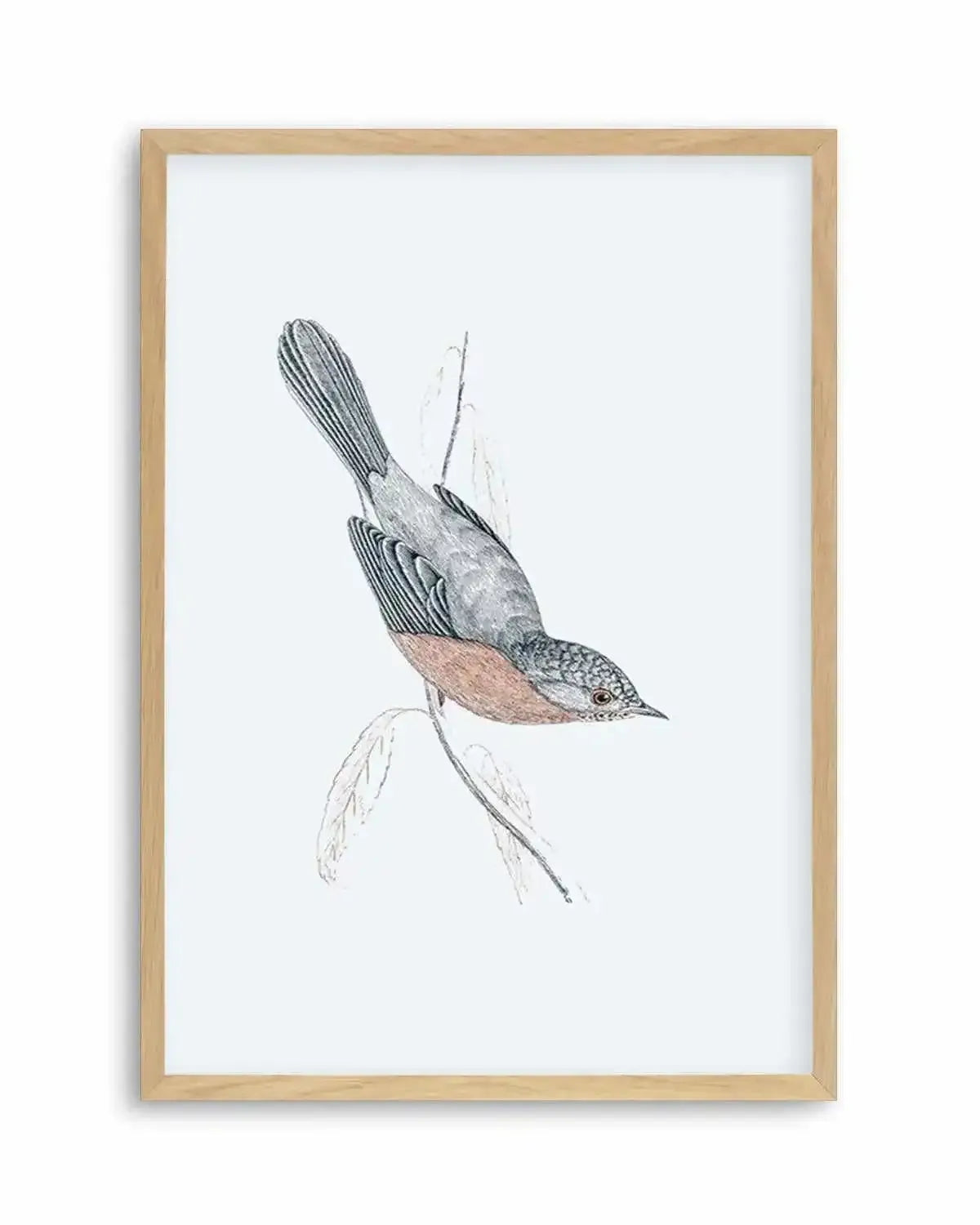 Hamptons Bird I Art Print from Olive et Oriel where you can shop wallpaper and artworks online