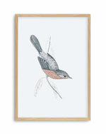 Hamptons Bird I Art Print
