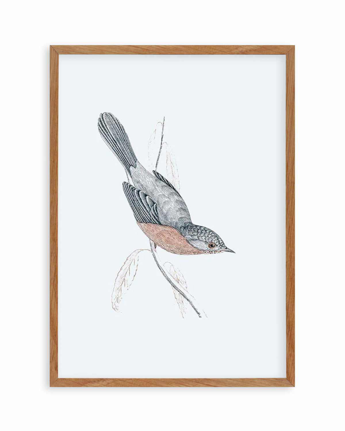 Hamptons Bird I Art Print