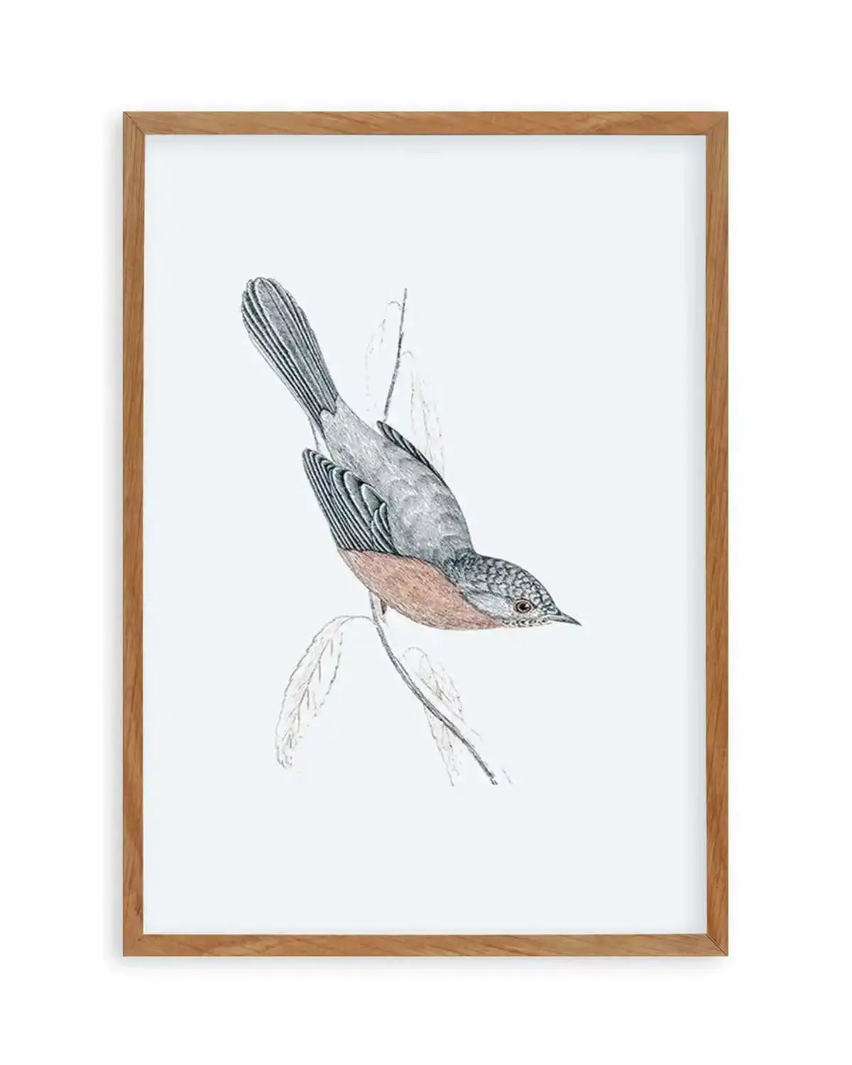 Hamptons Bird I Art Print from Olive et Oriel where you can shop wallpaper and artworks online